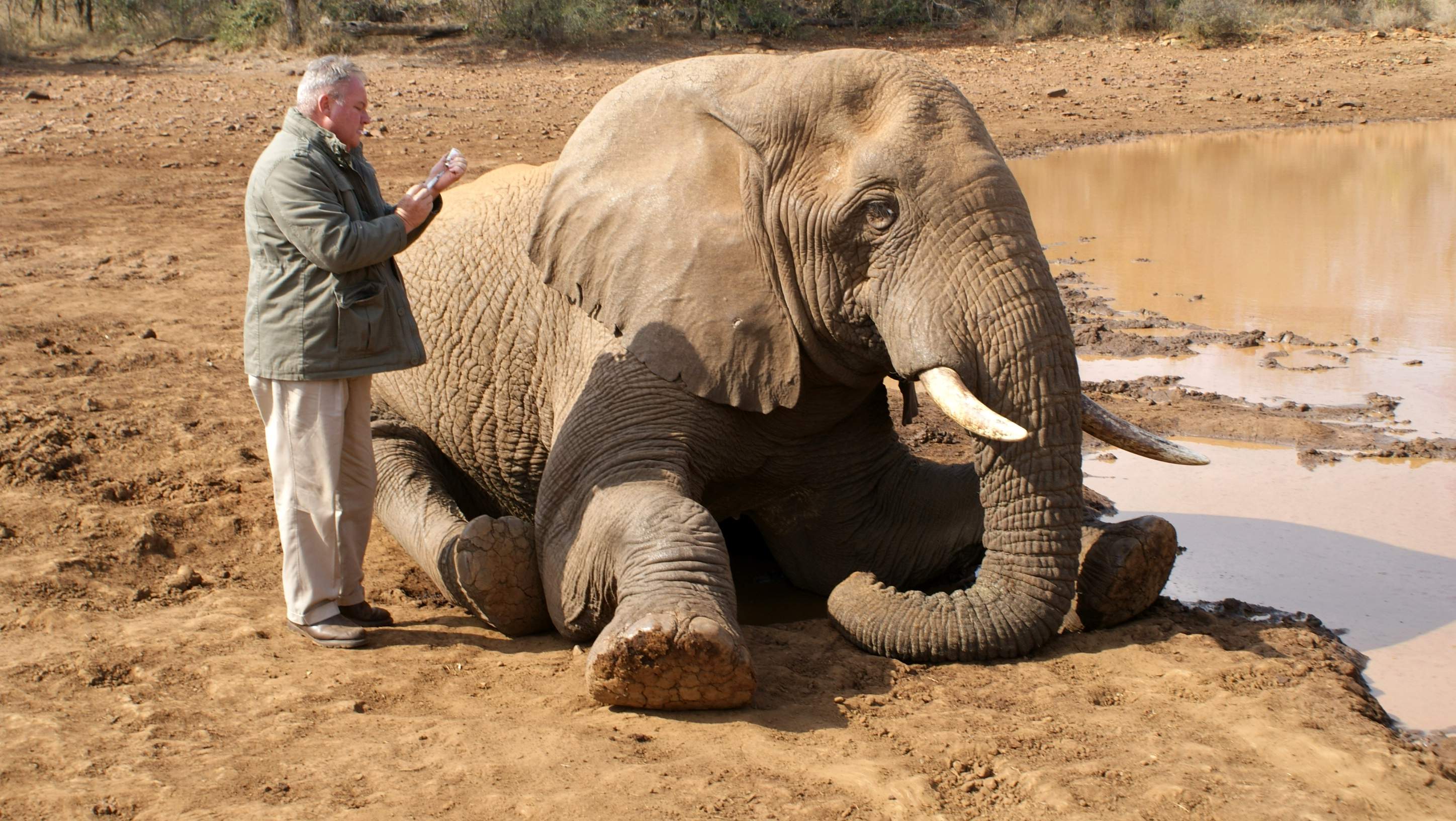 SanWild04a