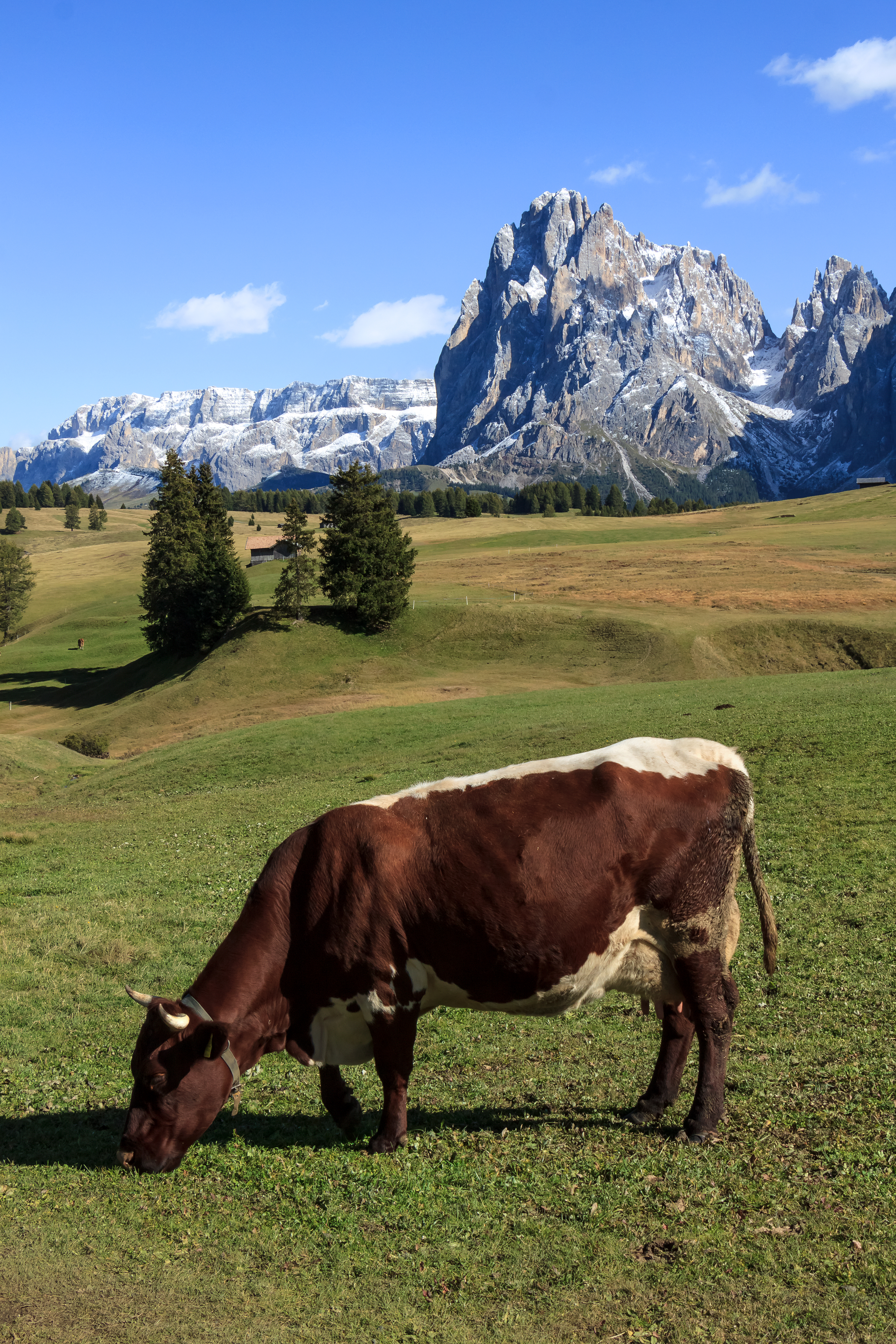 Seiser Alm 12