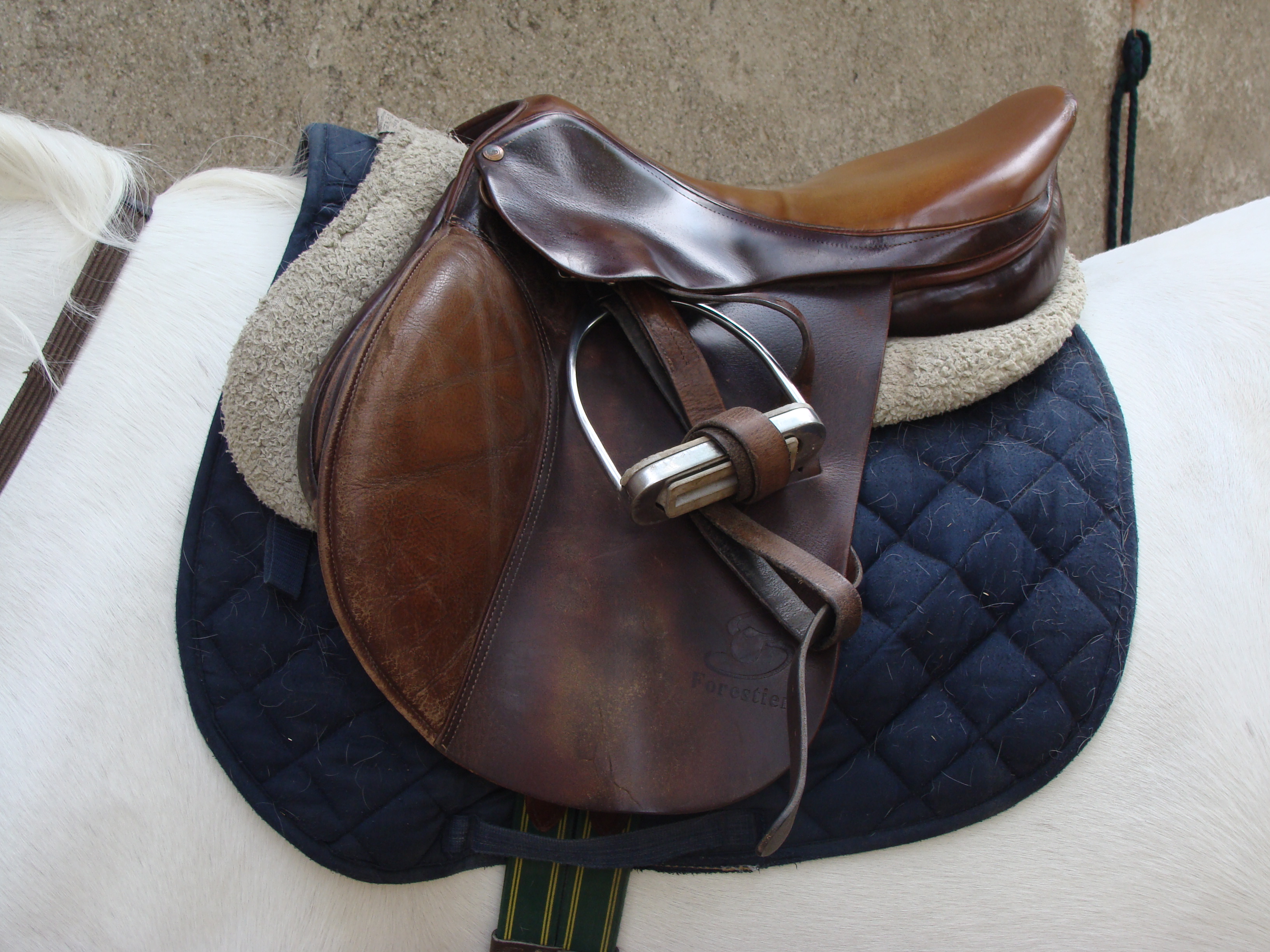 Selle2