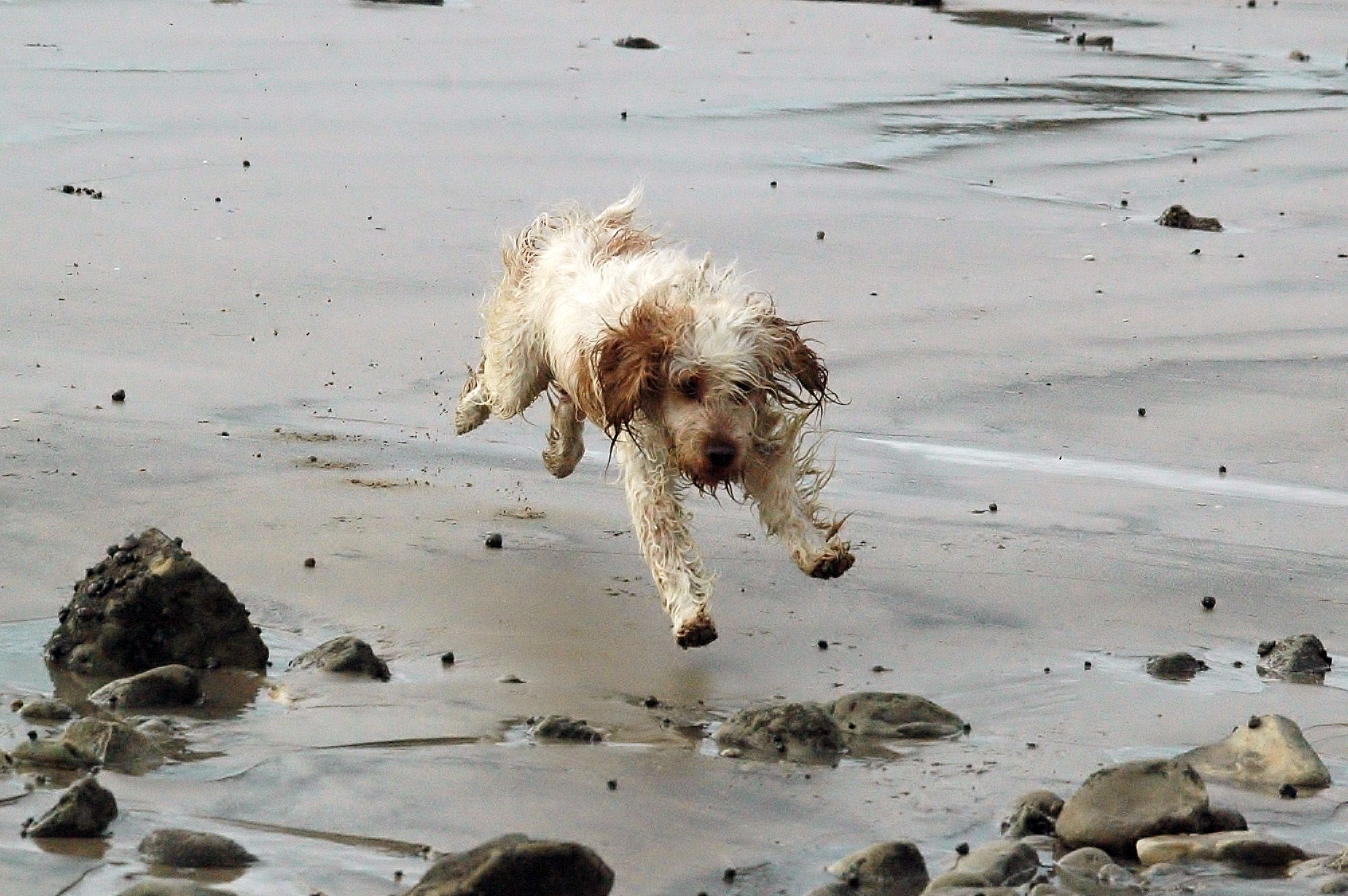 Seul sur le sable les yeux dans l'eau