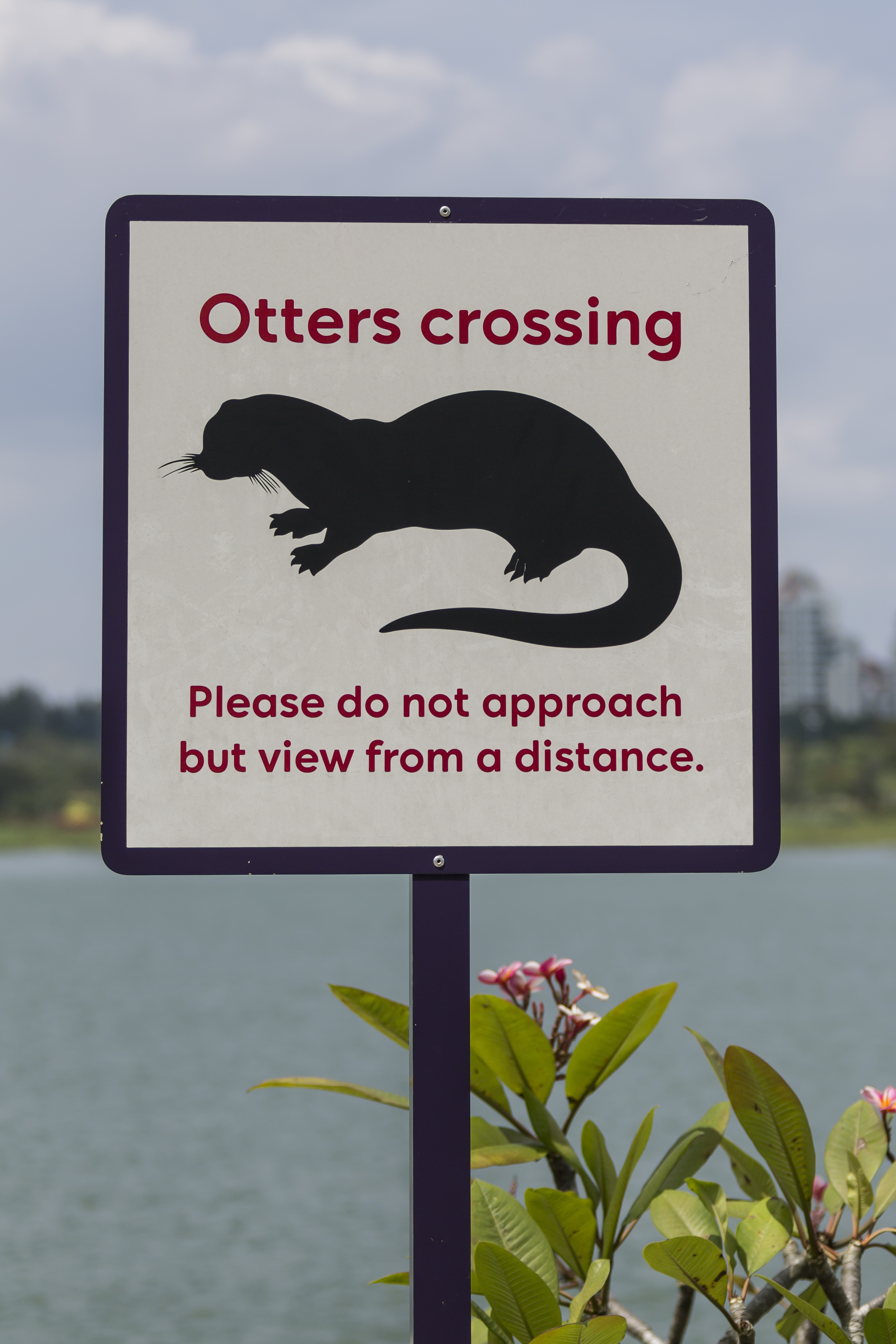 Singapore Information-signs Warning-signs-01