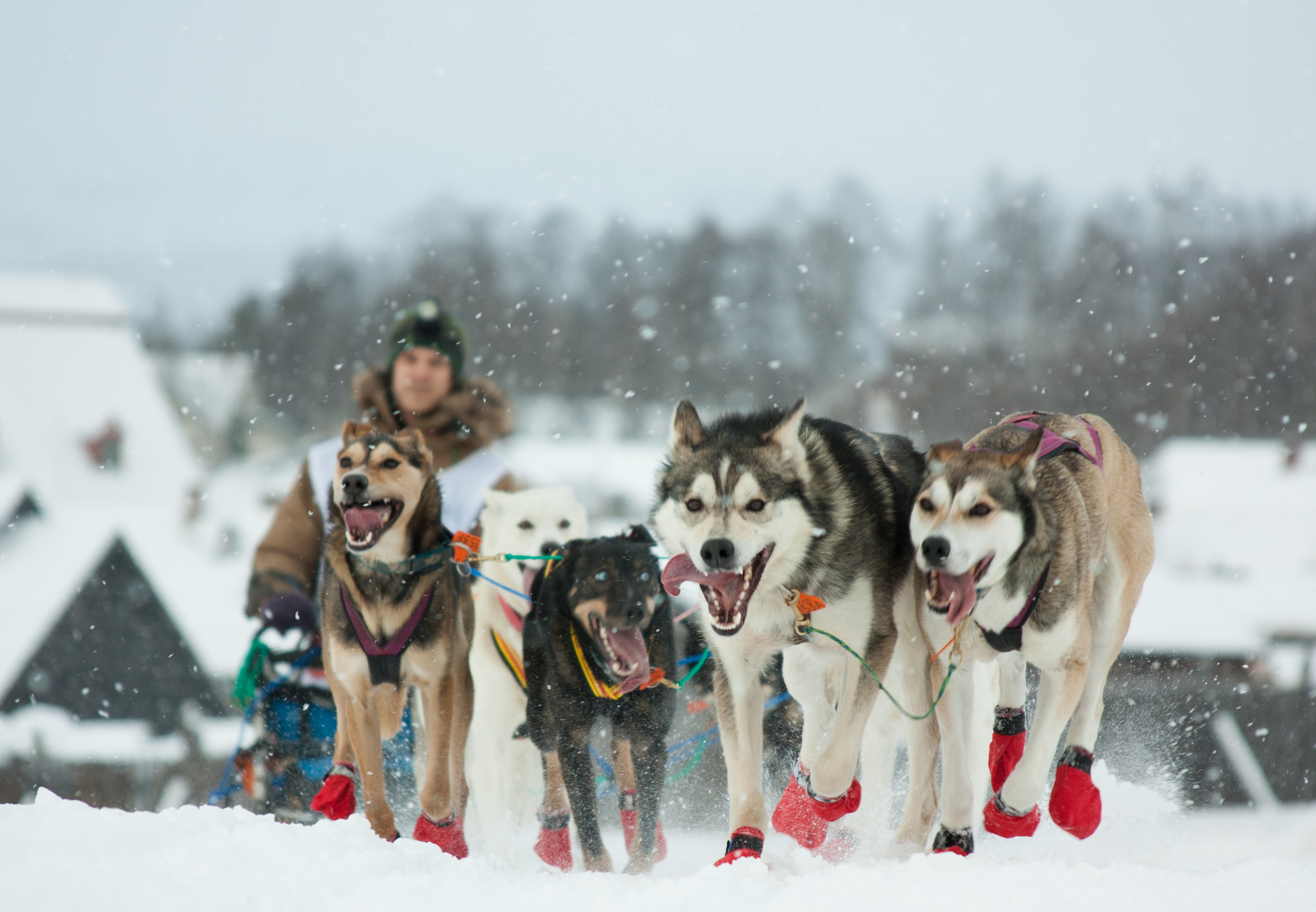 Start F400 fra Røros (8445247048)