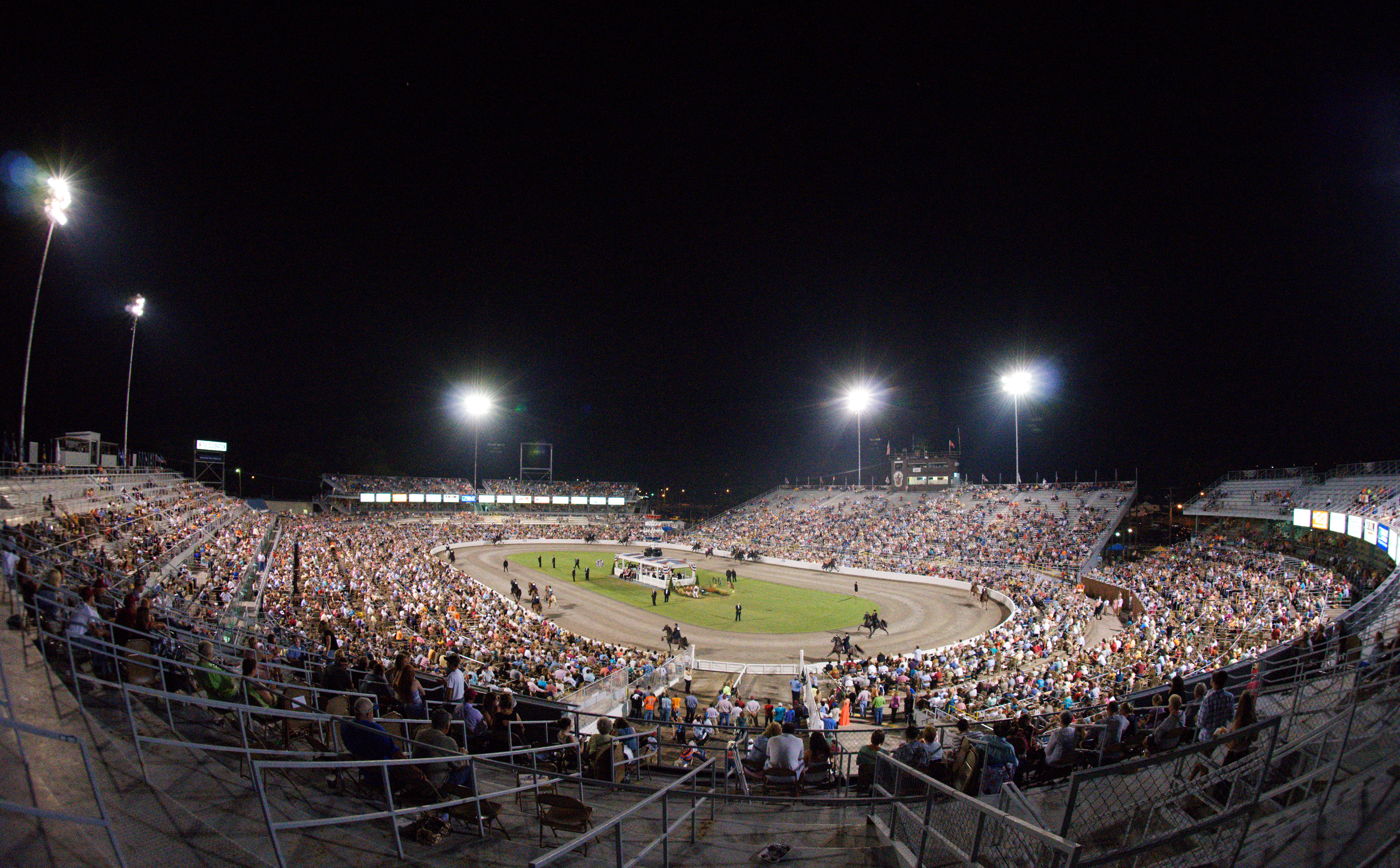 The Tennessee Walking Horse Celebration