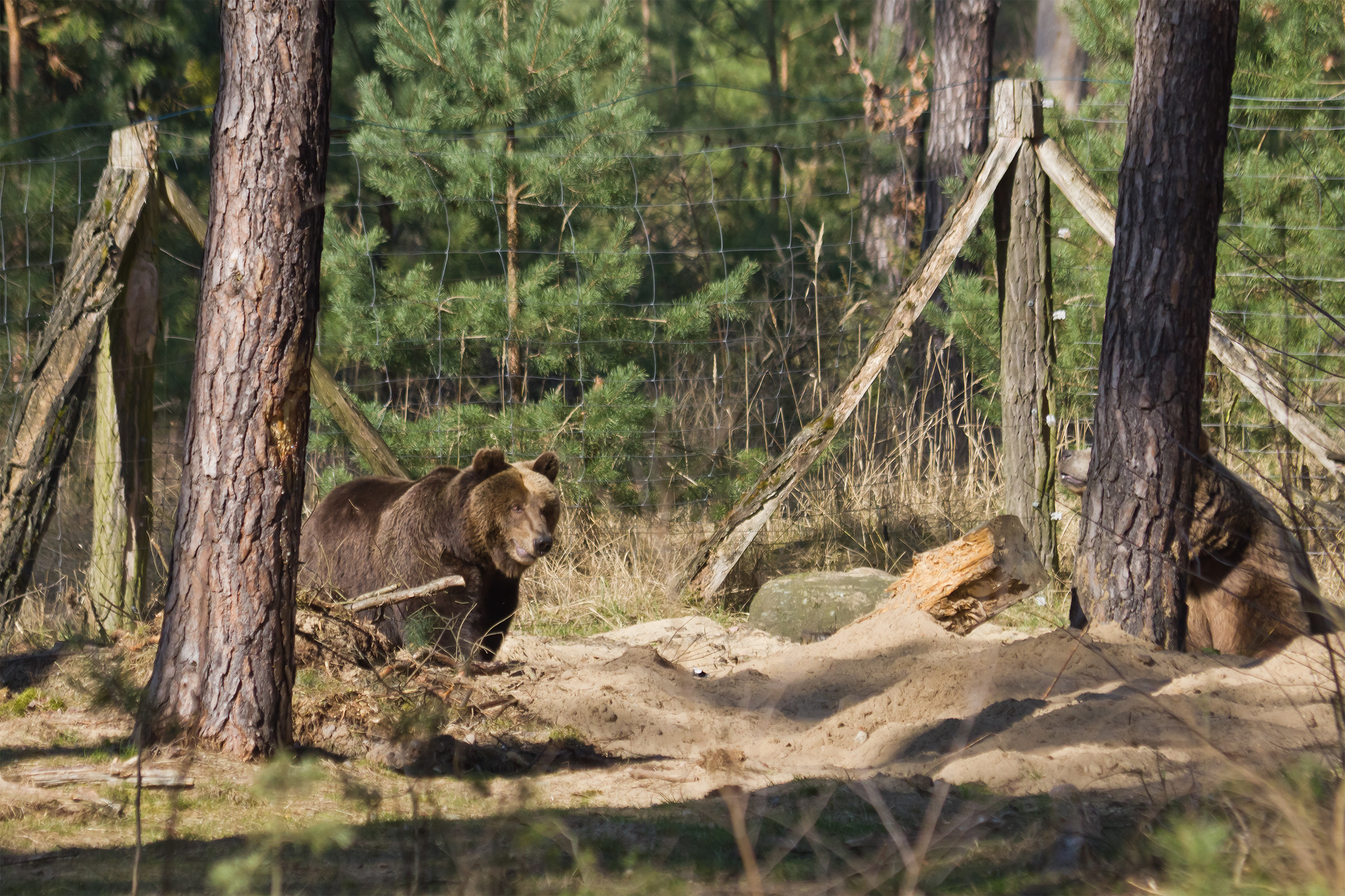 TF Wildpark Johannismuehle 03-14 img06