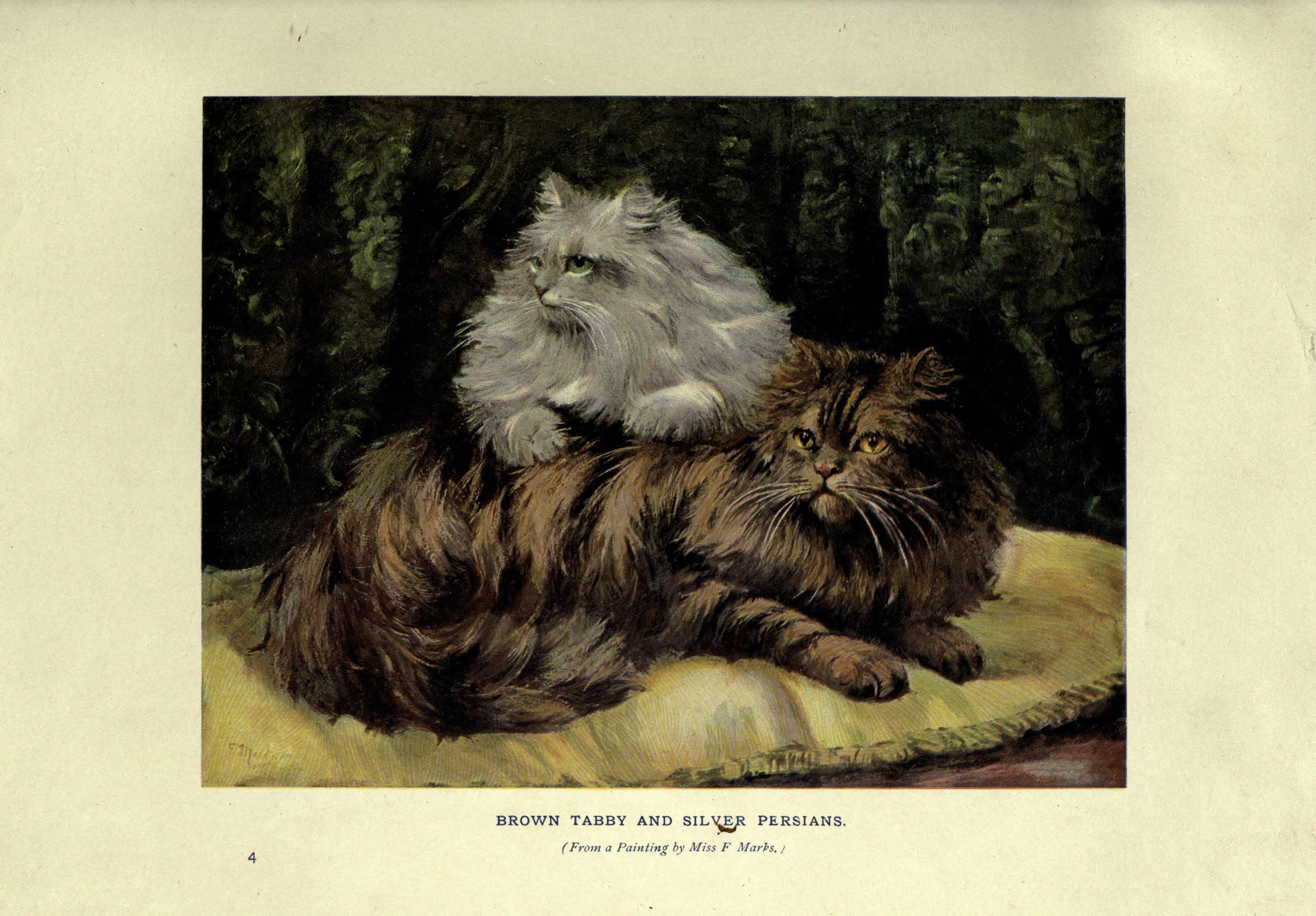 The book of the cat (Plate 4) (6263033095)