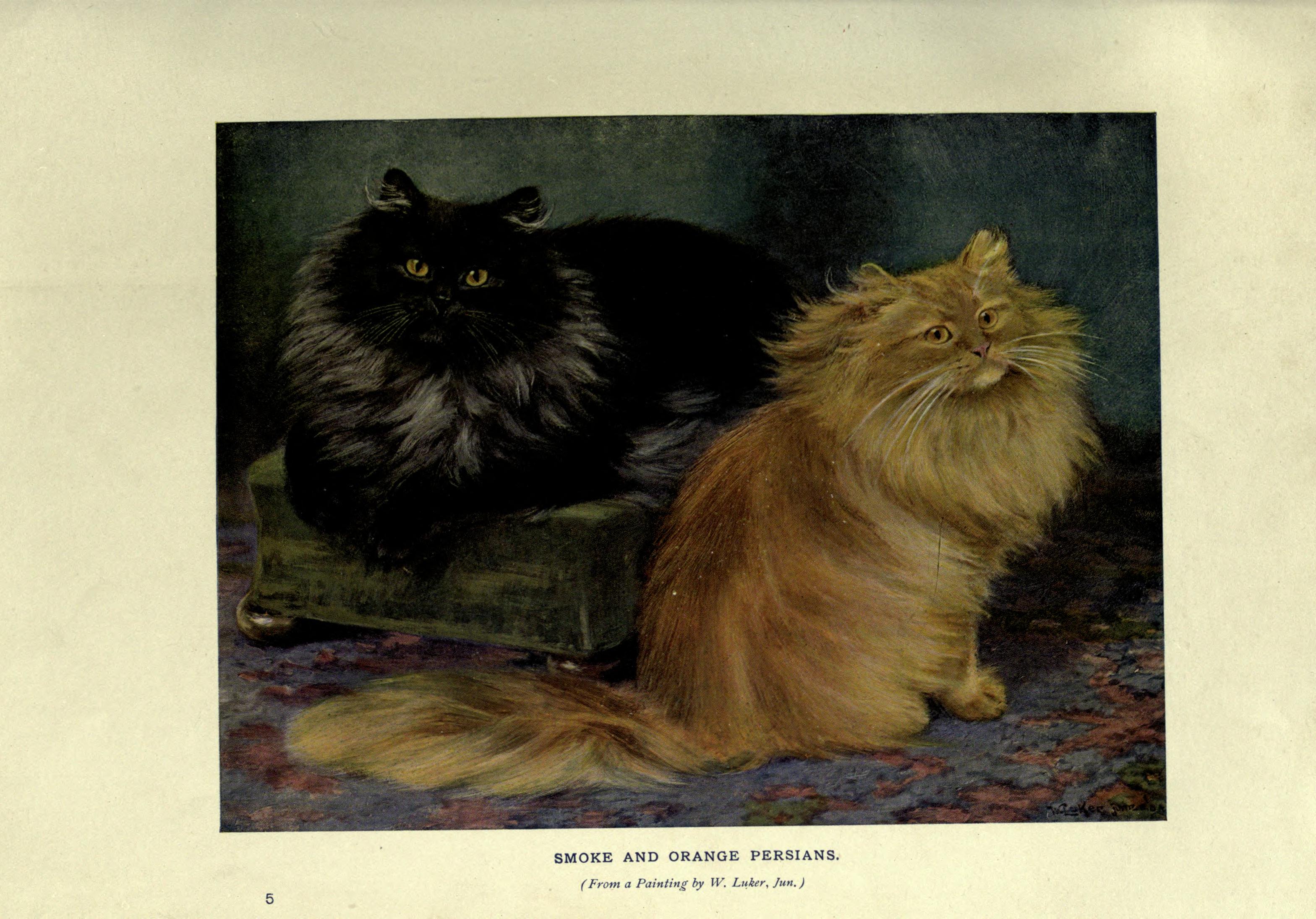 The book of the cat (Plate 5) BHL23996479