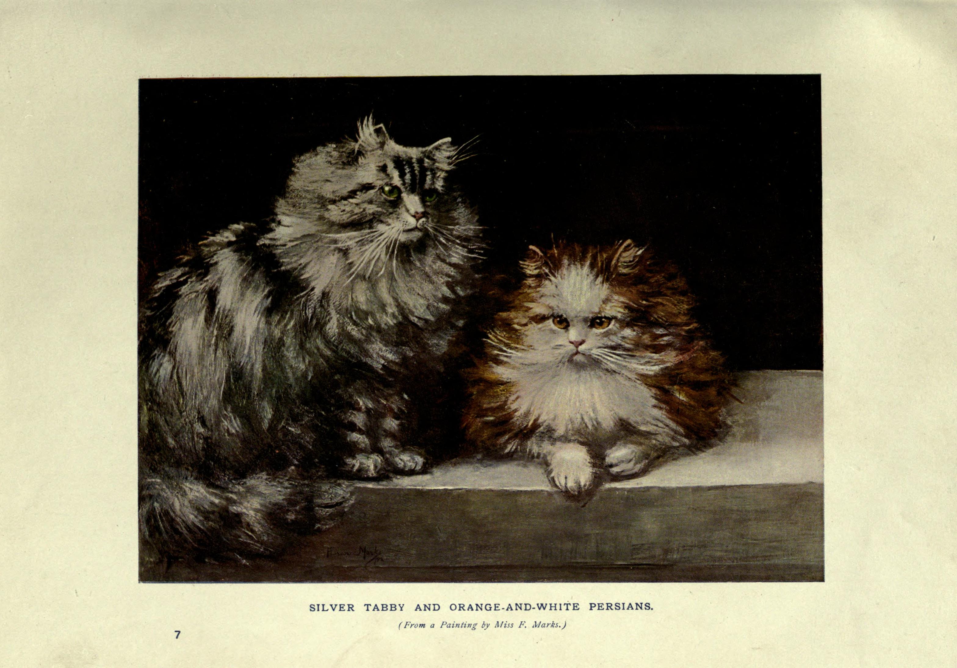 The book of the cat (Plate (7)) BHL23996531