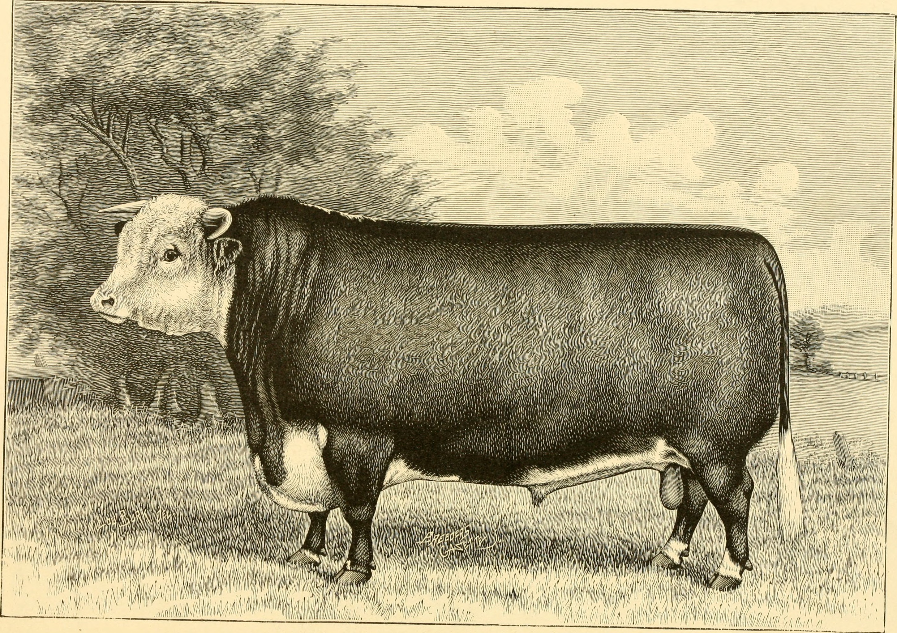 The breeds of live stock, and the principles of heredity (1887) (14594566820)
