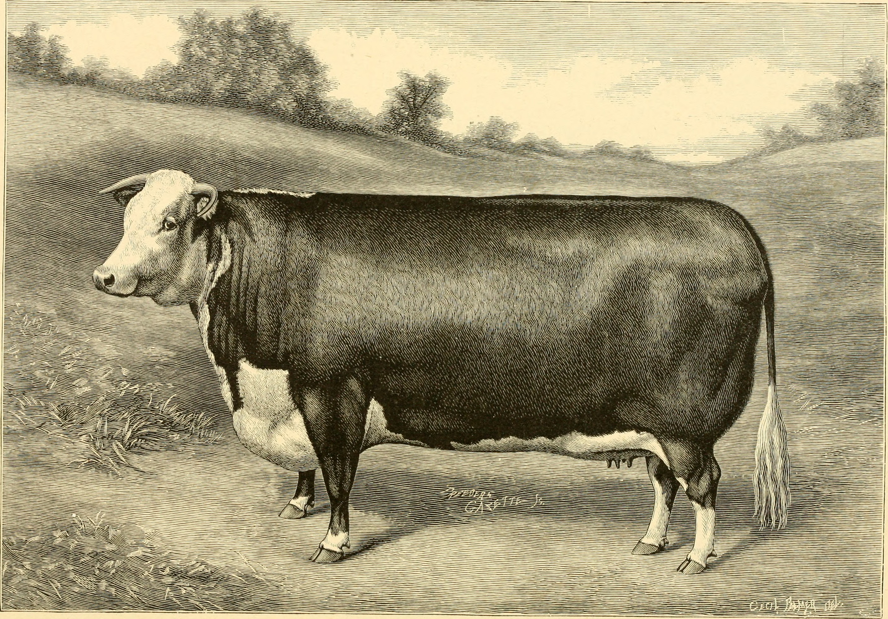 The breeds of live stock, and the principles of heredity (1887) (14594652109)