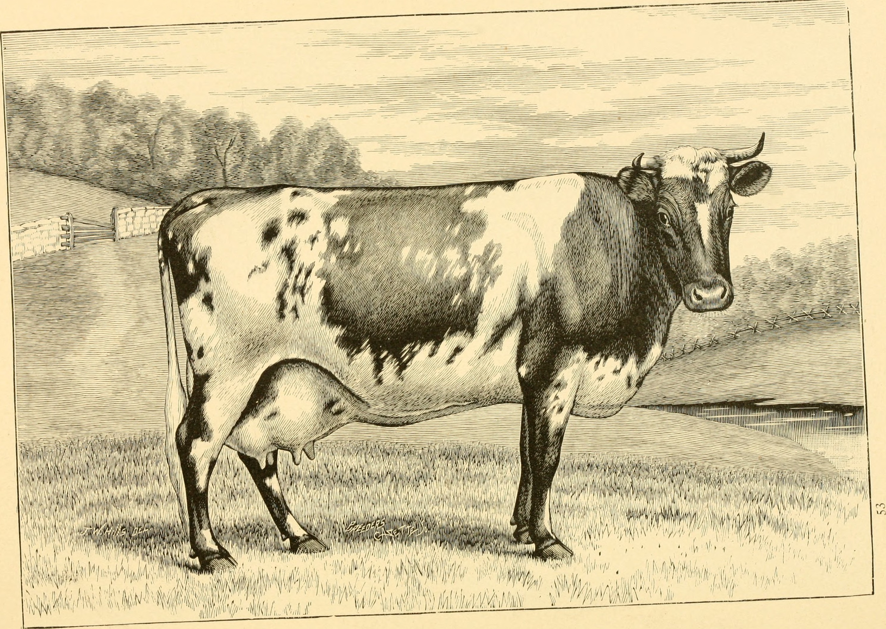 The breeds of live stock, and the principles of heredity (1887) (14594782339)
