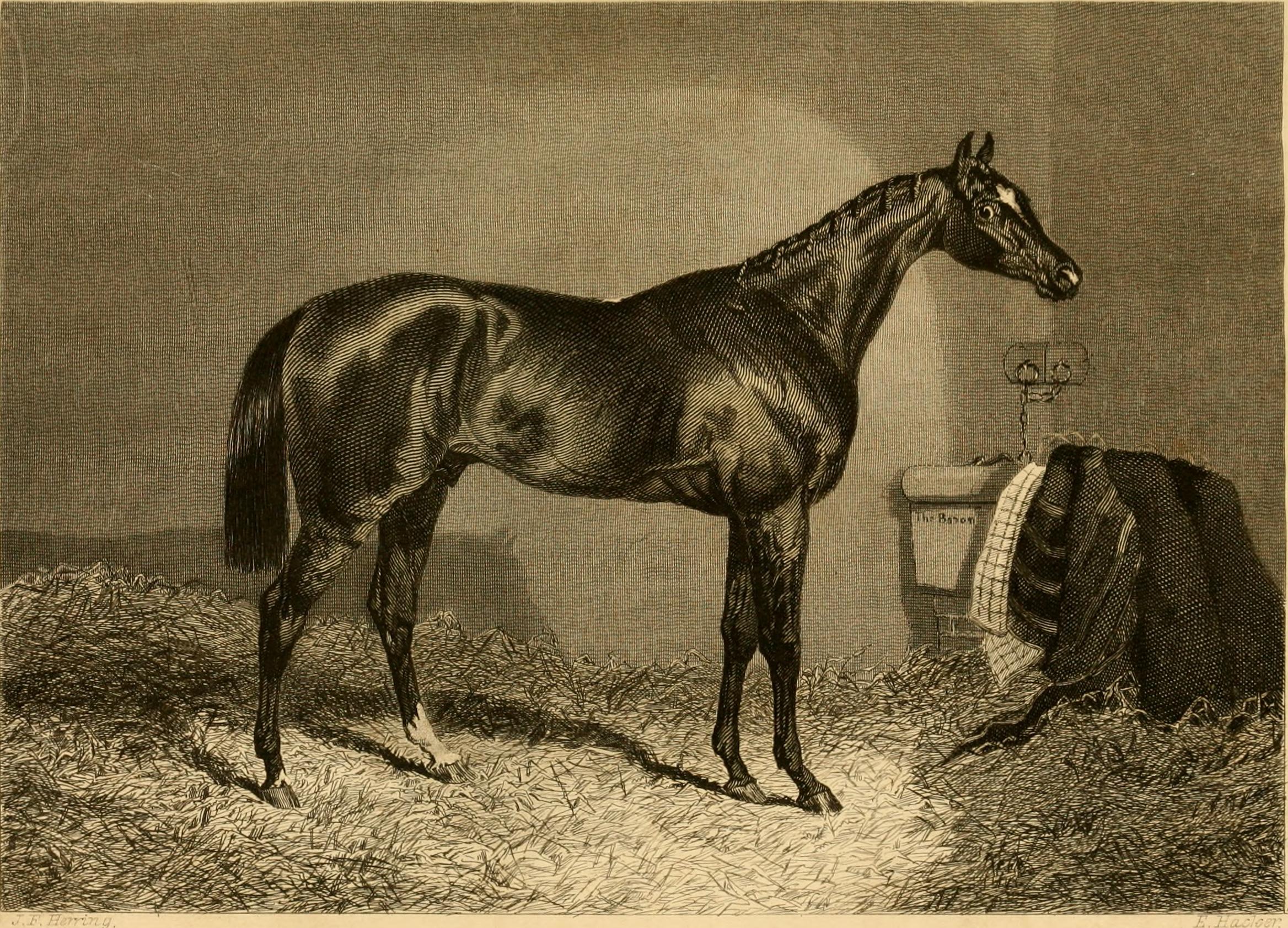 The Farmer's magazine (1846) (14802922983)