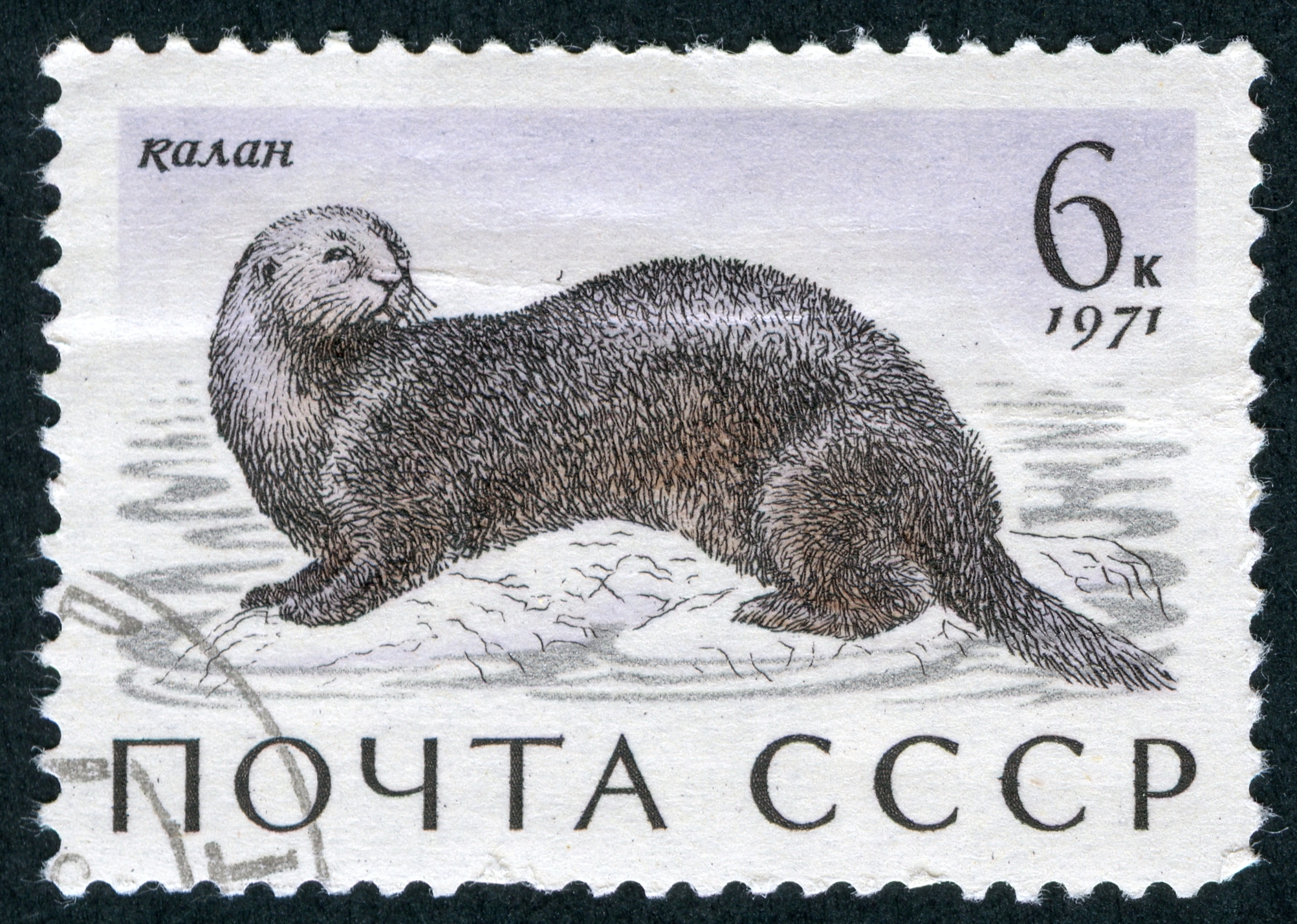 The Soviet Union 1971 CPA 4038 stamp (Sea Otter) cancelled large resolution