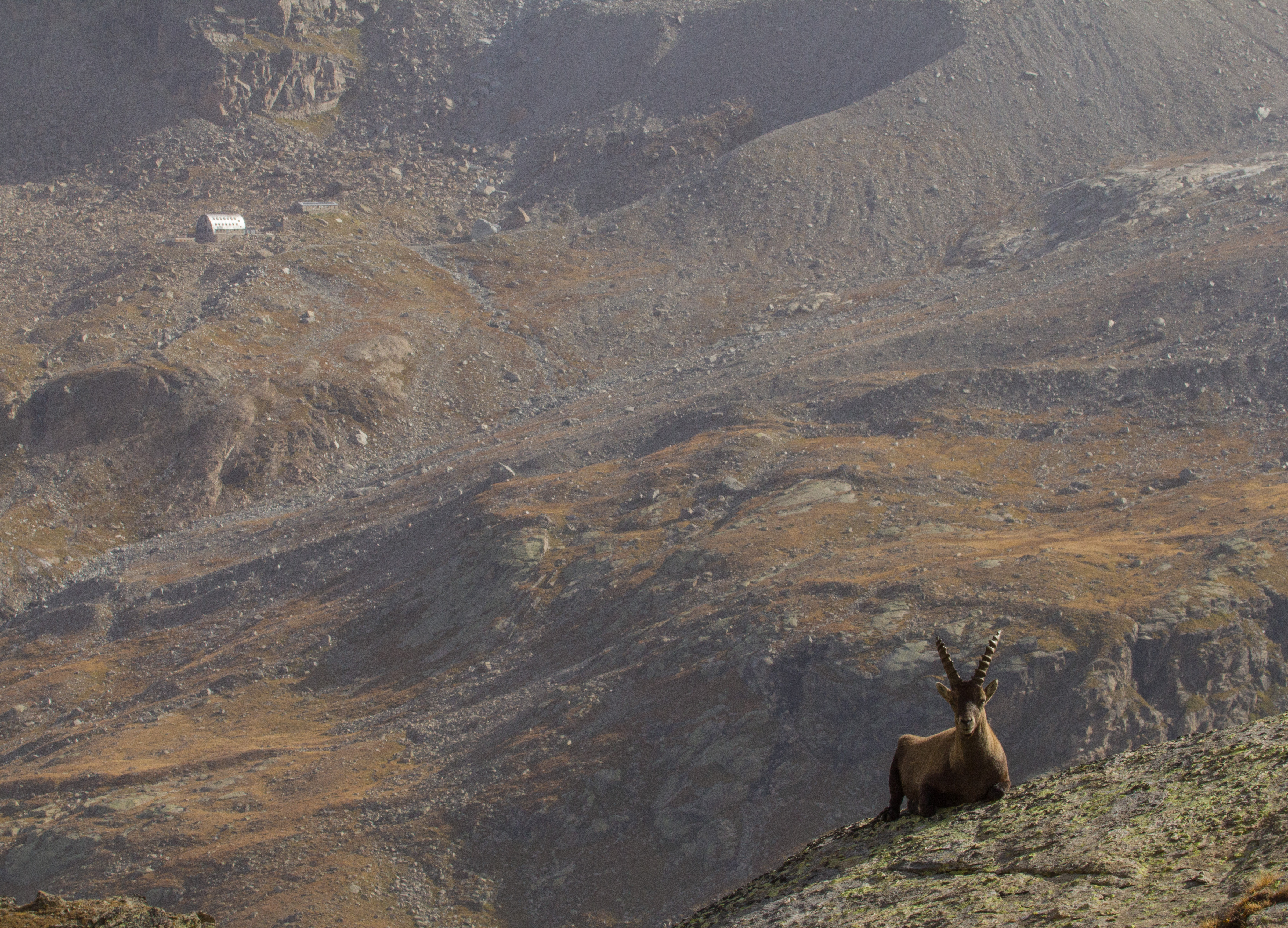The two sides of the Valsavarenche (9998035596)