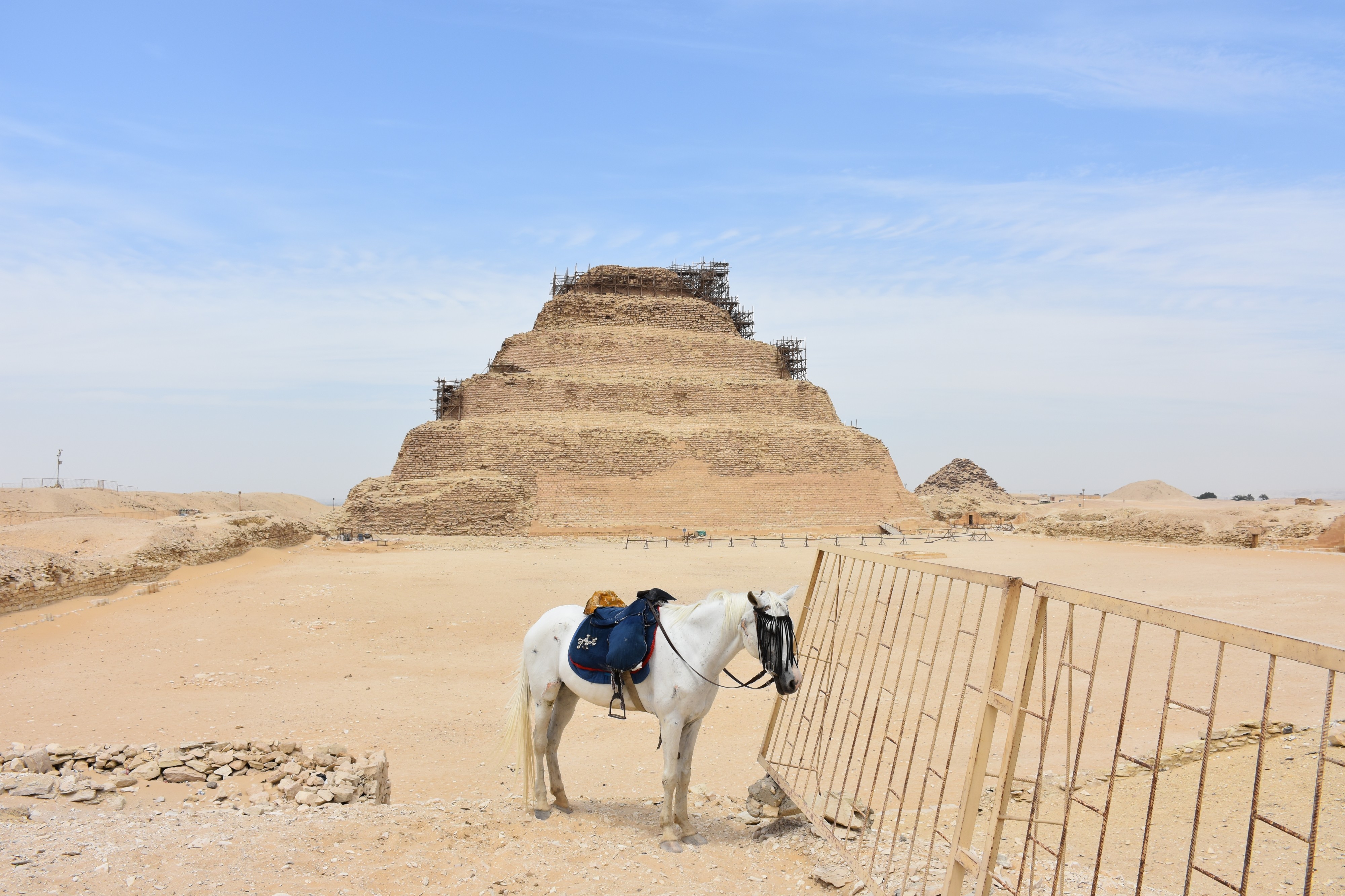 Donkey and the Pyramid of Djoser