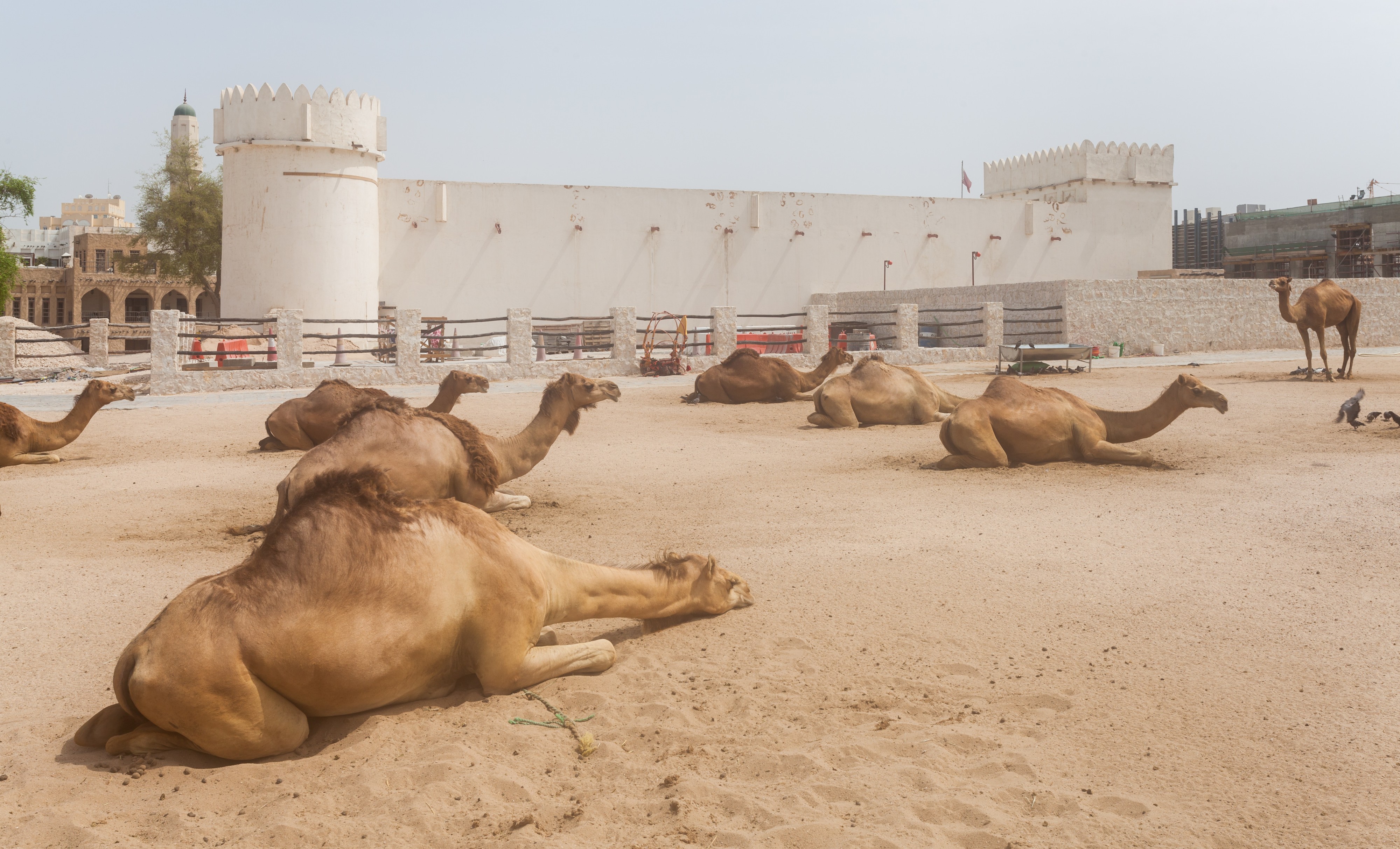 Fuerte Al Koot, Doha, Catar, 2013-08-06, DD 01