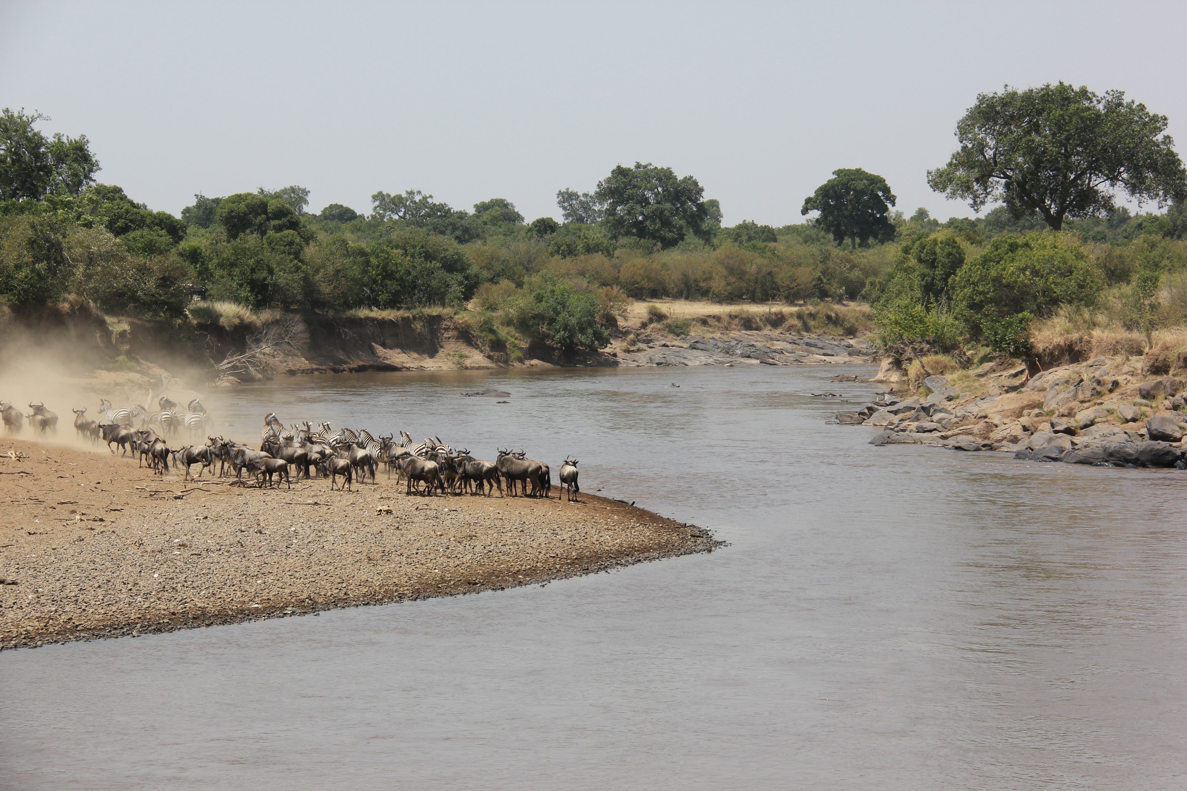 Laika ac River Crossing (9679708365)