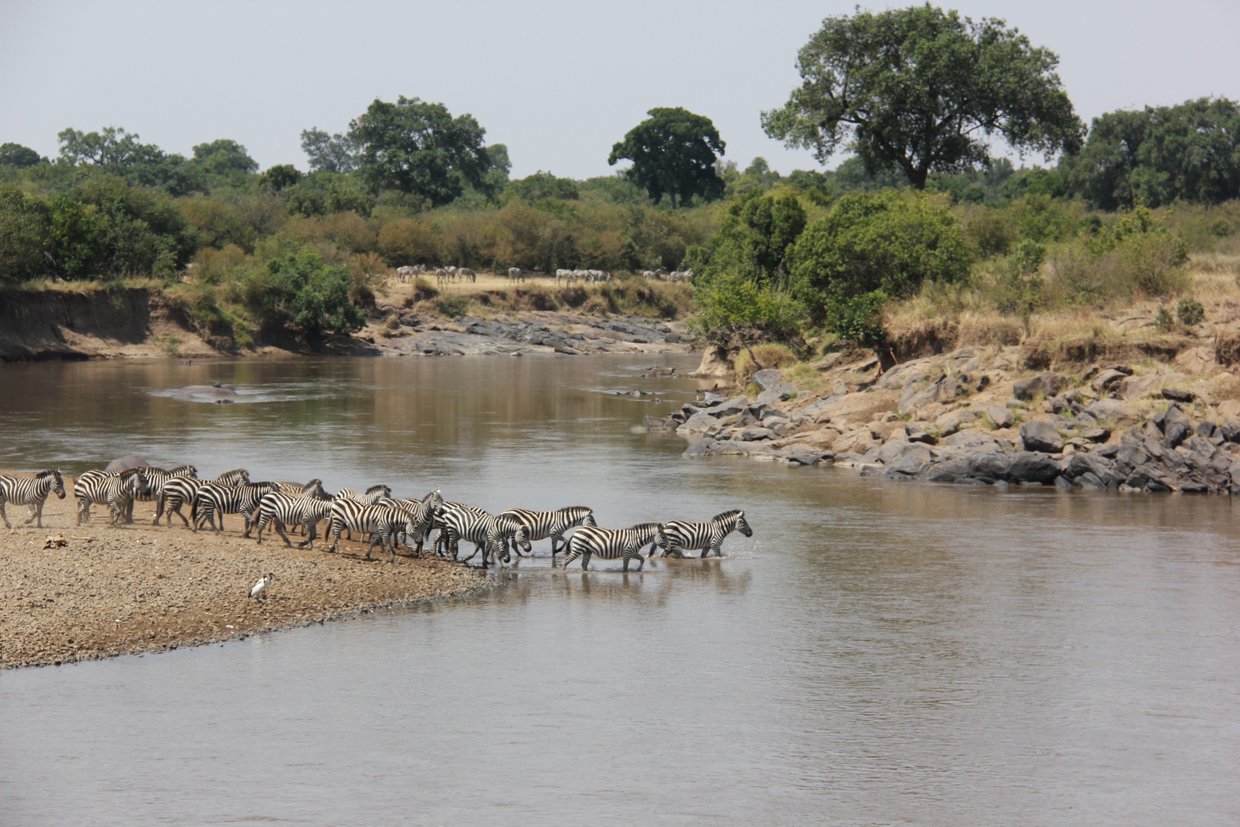 Laika ac River Crossing (9682966202)