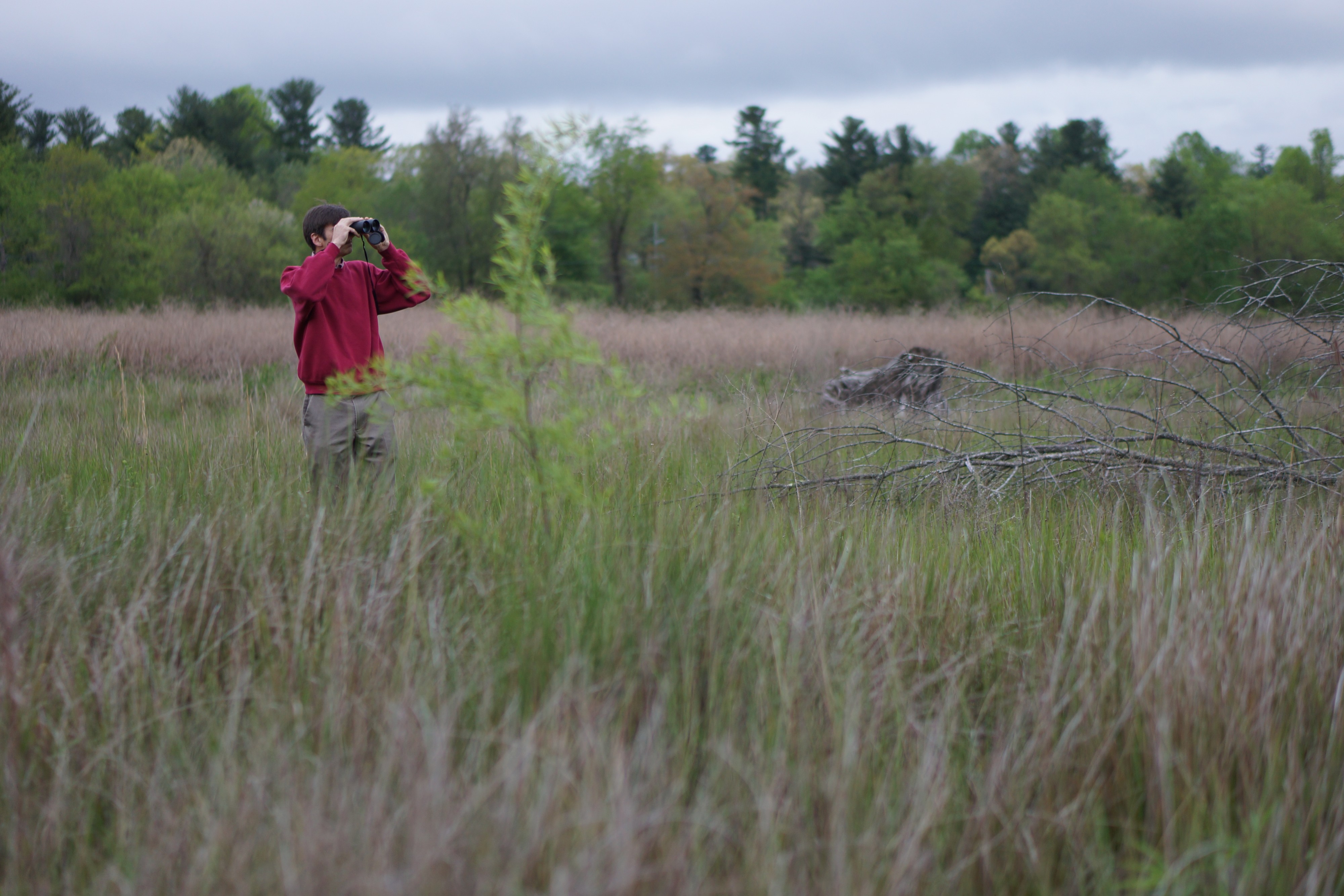 Tom Fanslow spies a bird (8705435670)