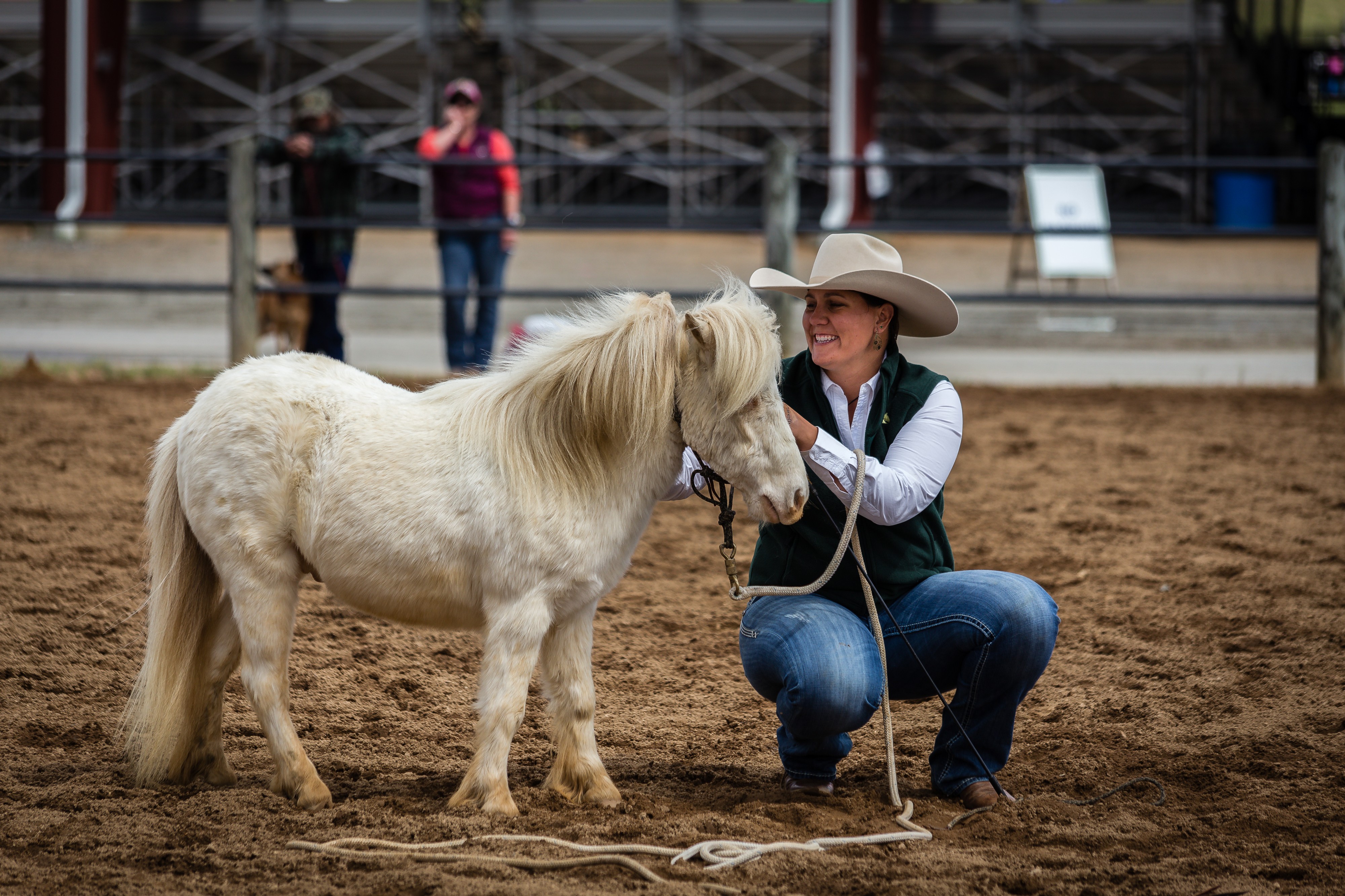 VA Horse Fest Hollywood (25603729624)