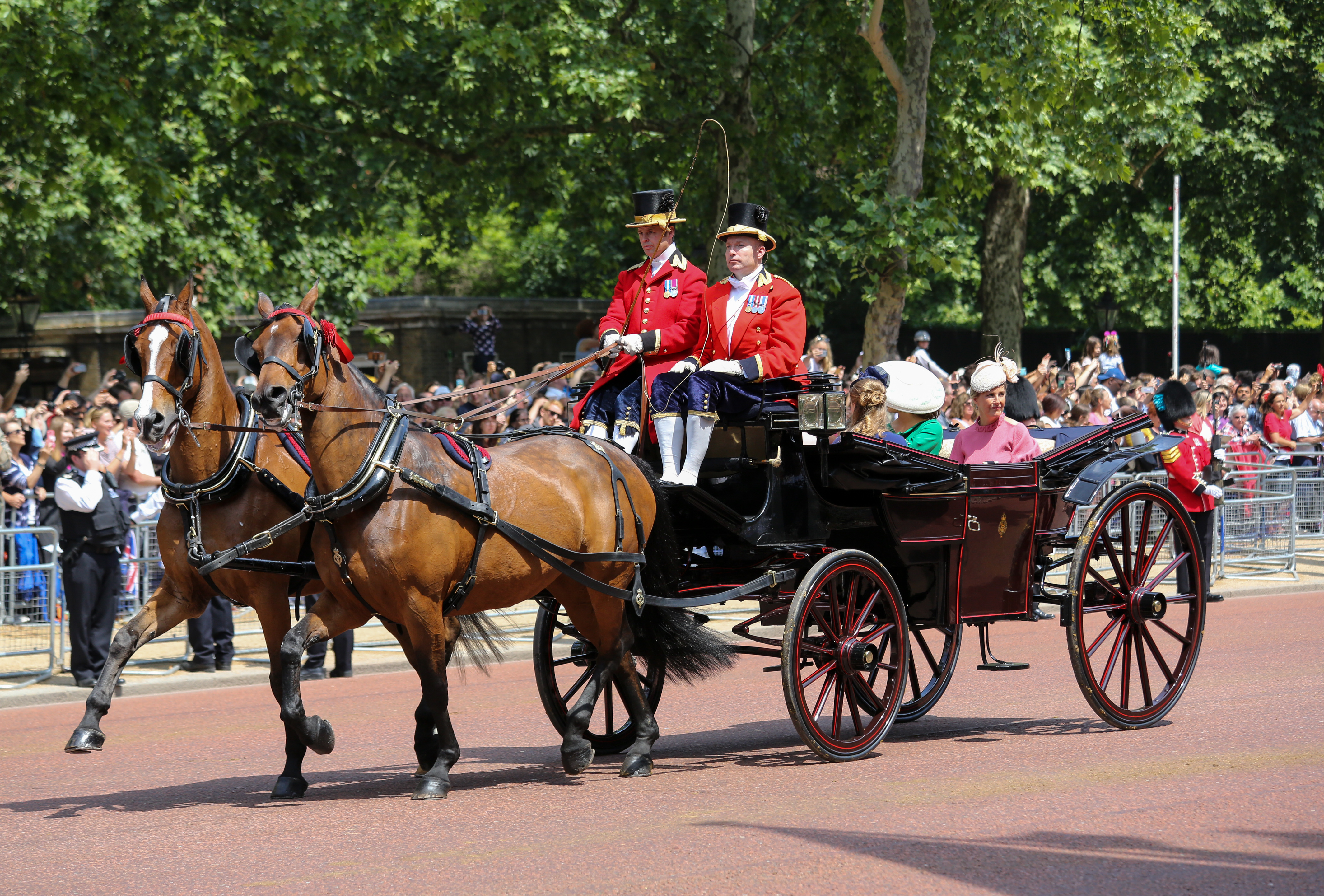 Trooping the Colour 2018 (13)