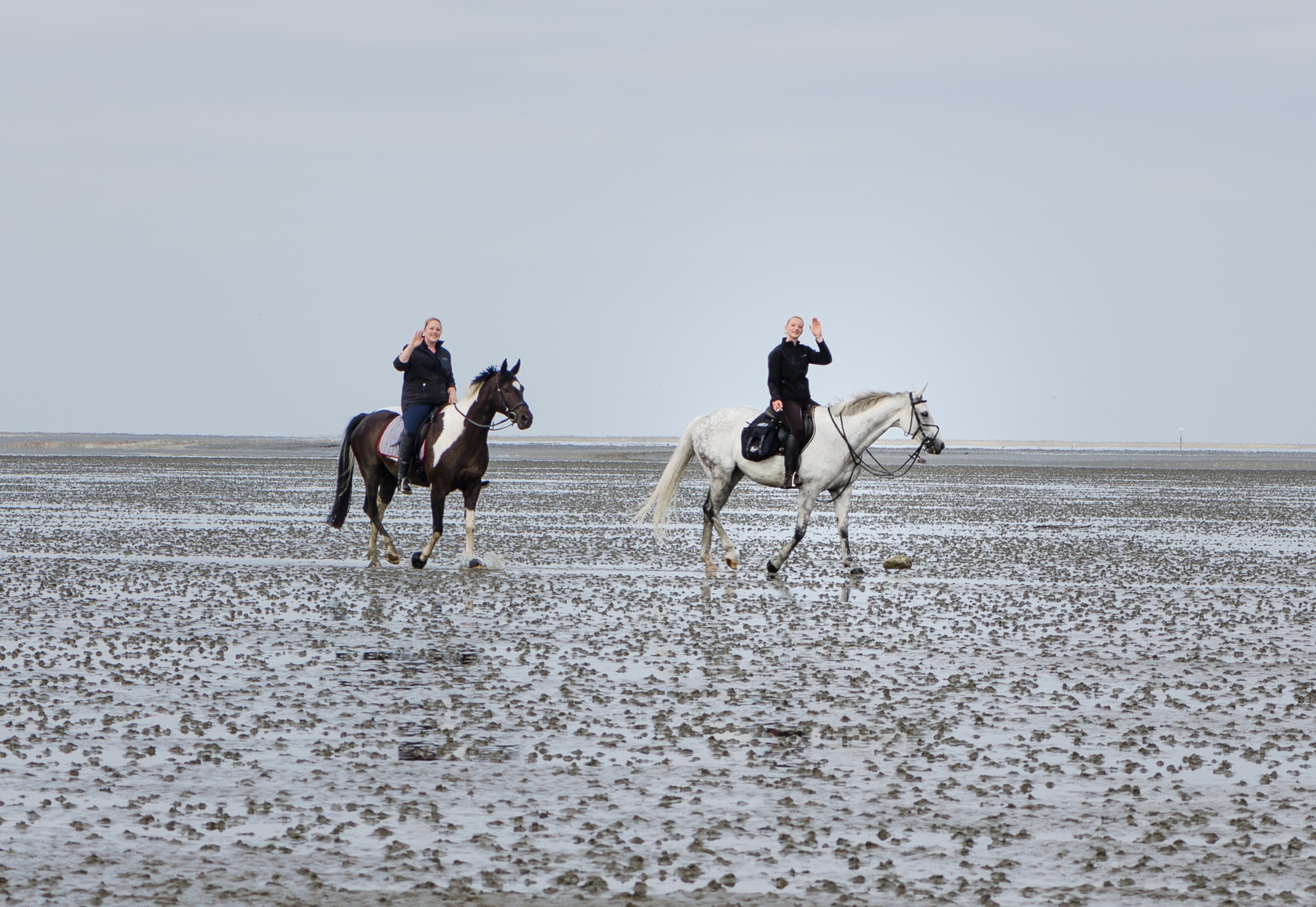 Watt Reiten Sahlenburg