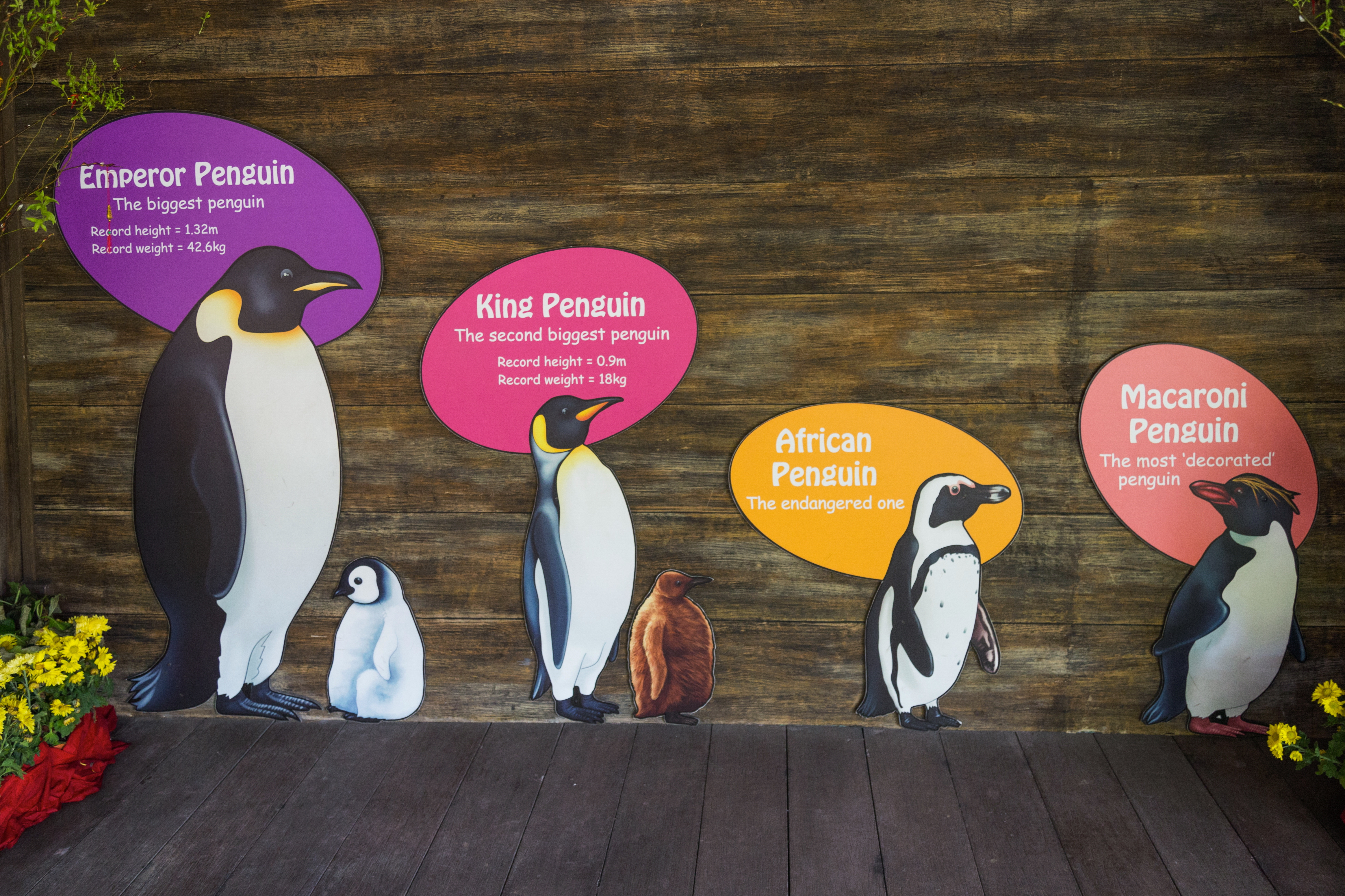 2016 Singapur, Jurong Bird Park (012)