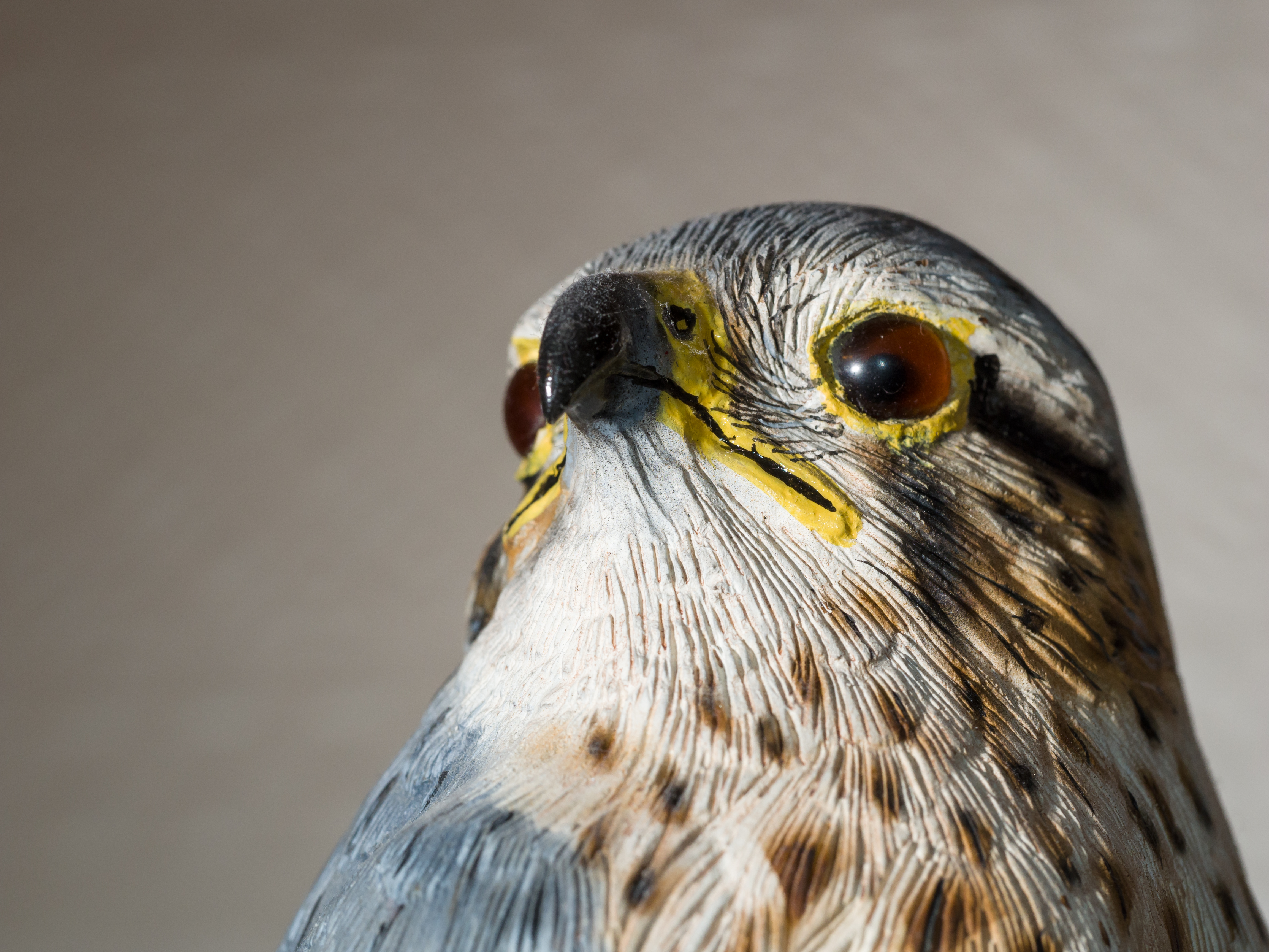 Bird of prey carving (14190348089)