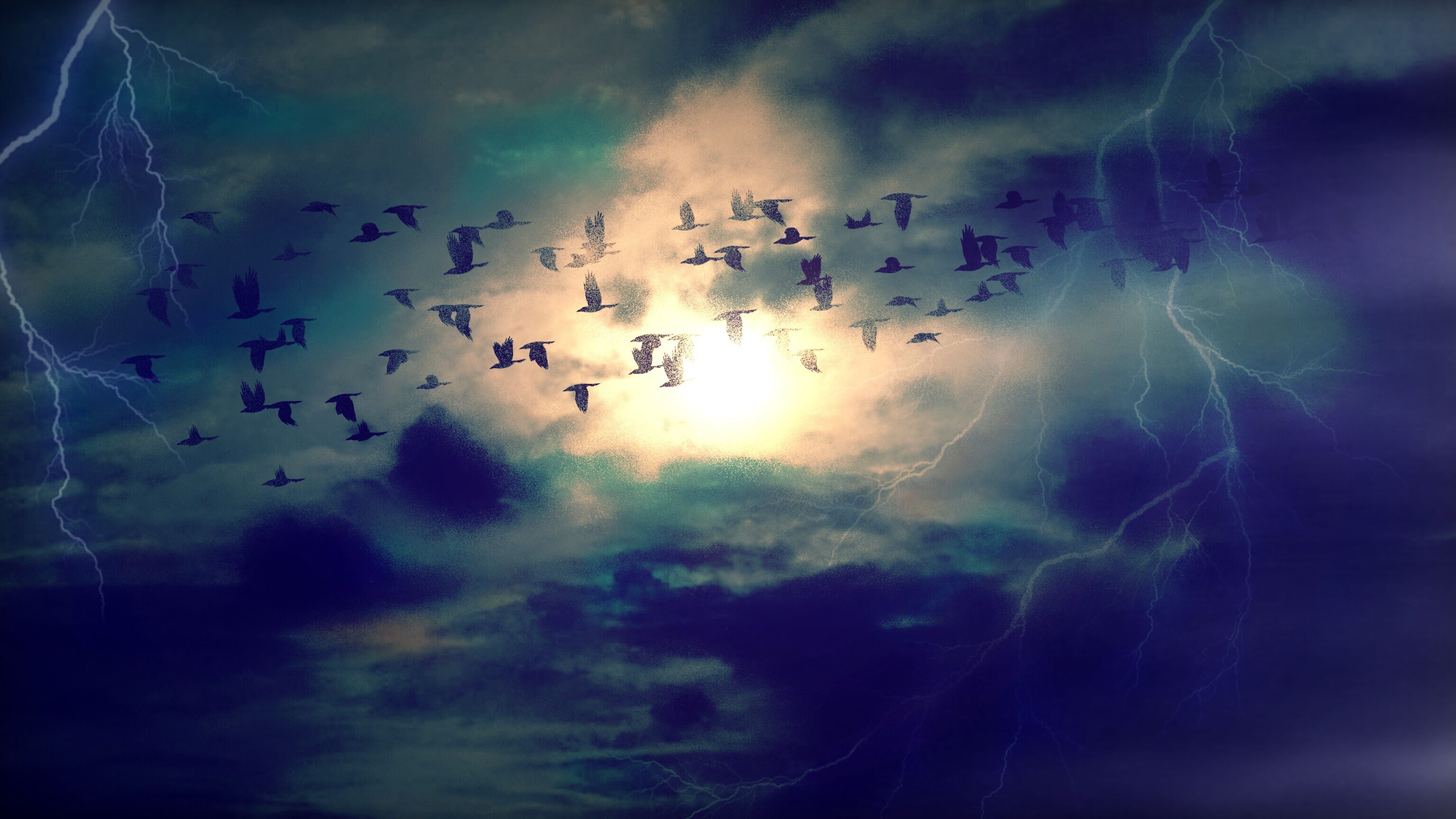 Birds-384954 1280