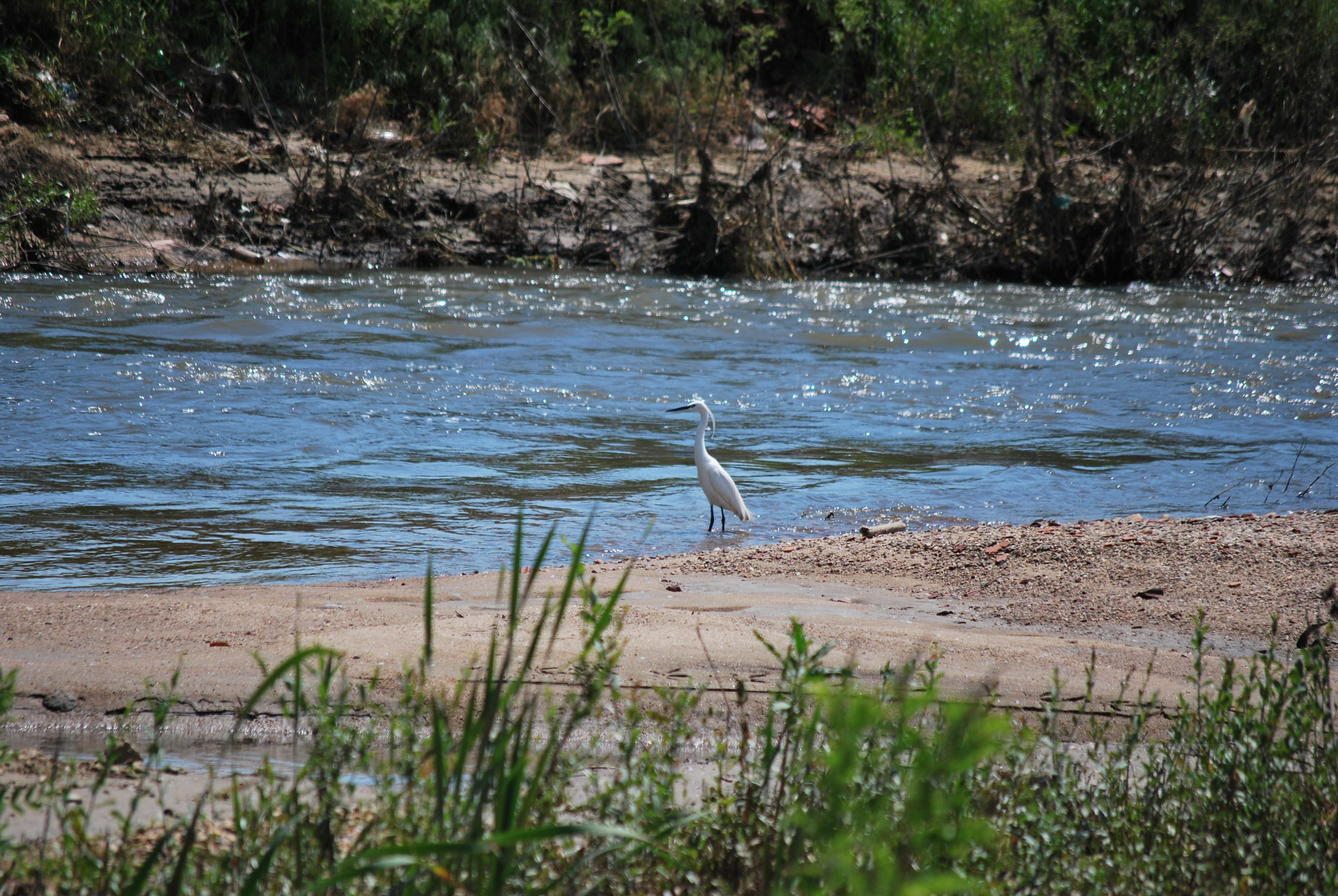 Bregalnica river 003