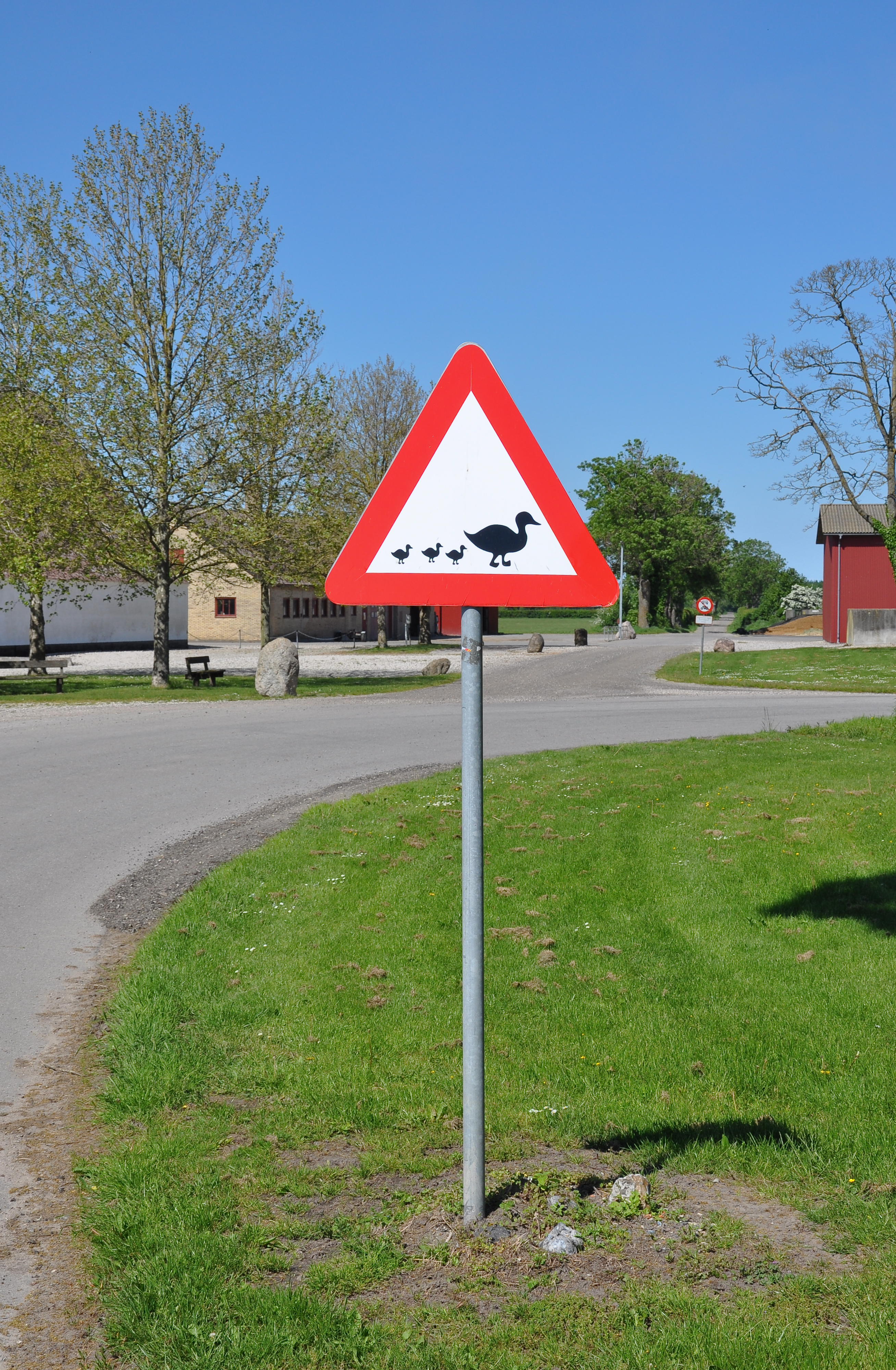 Duckling road sign