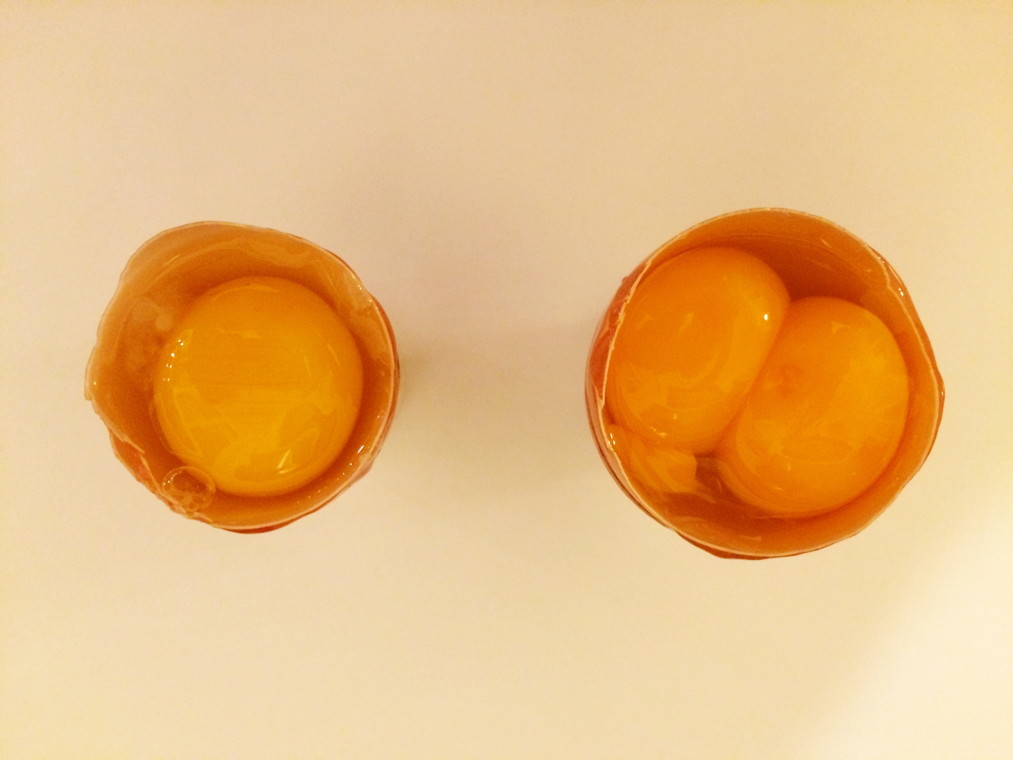 Egg and maxi egg 2