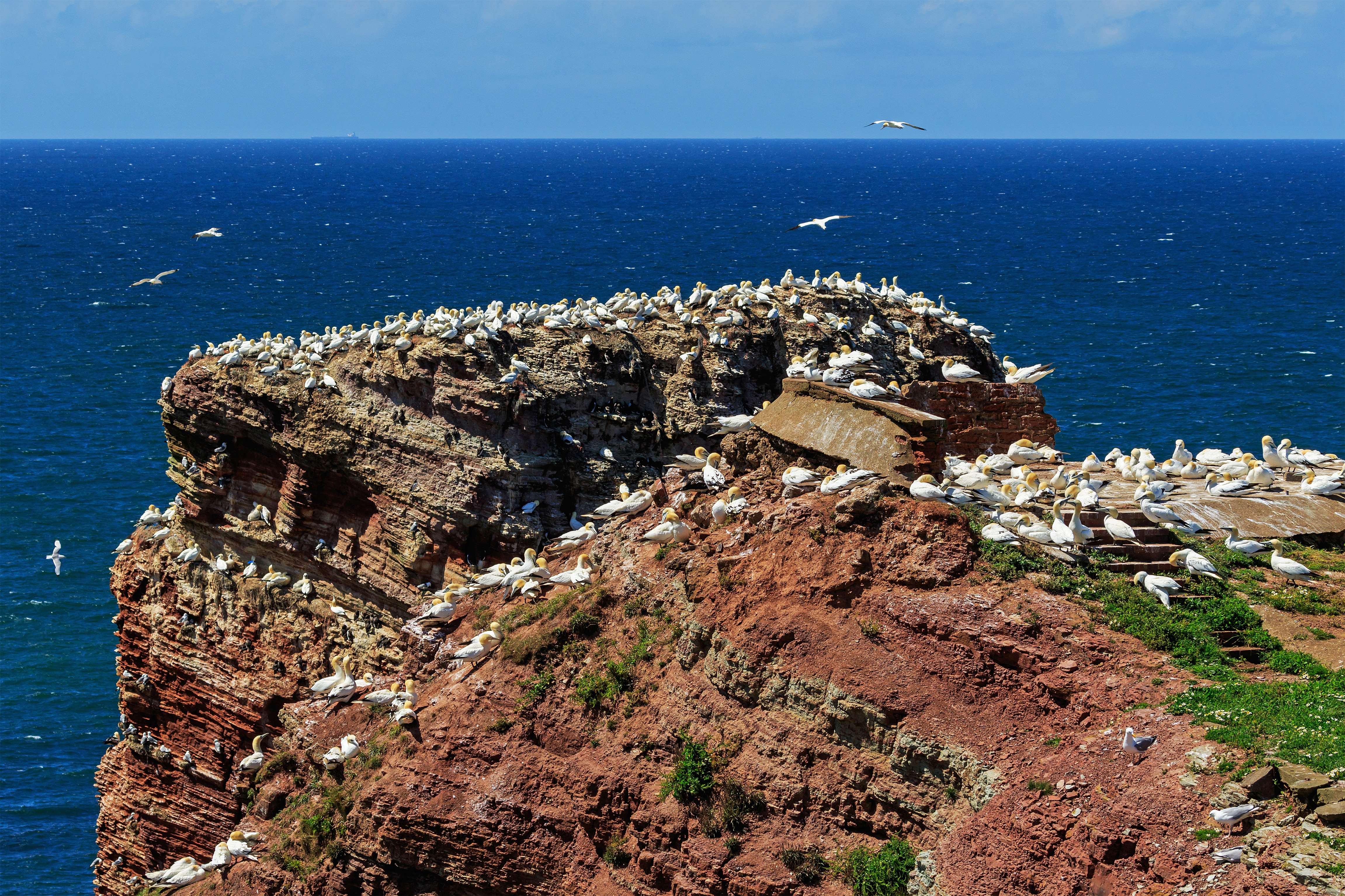 Heligoland 07-2016 photo09