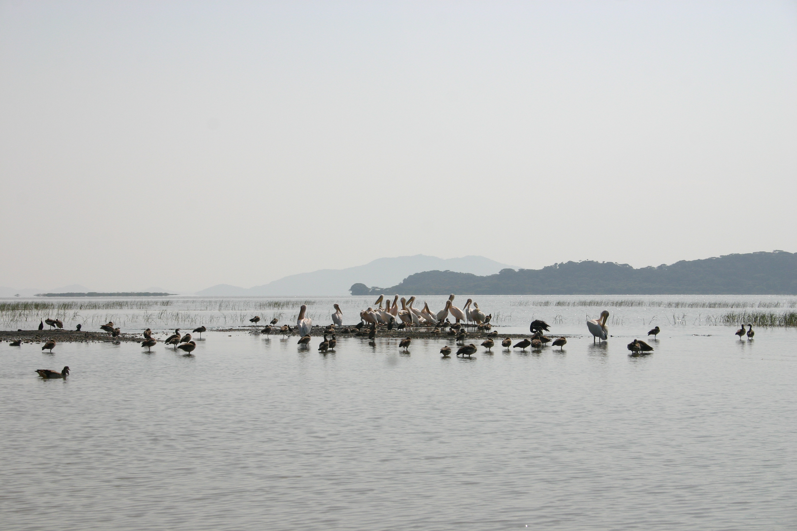 Lac Zway