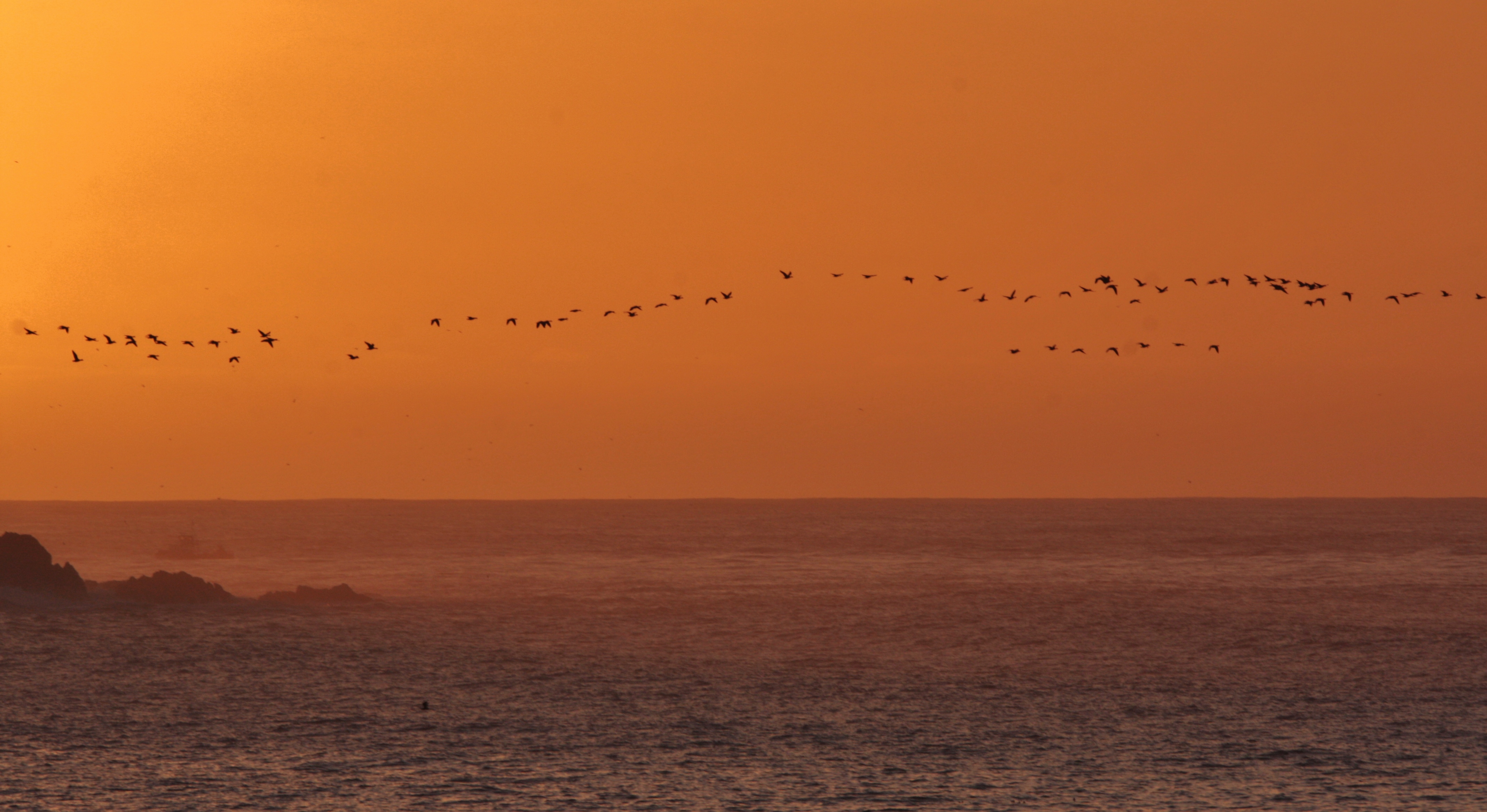 Morning Traffic IMG 8278 (31601271601)