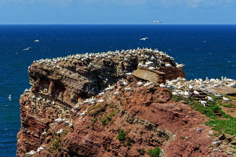 Heligoland 07-2016 photo09
