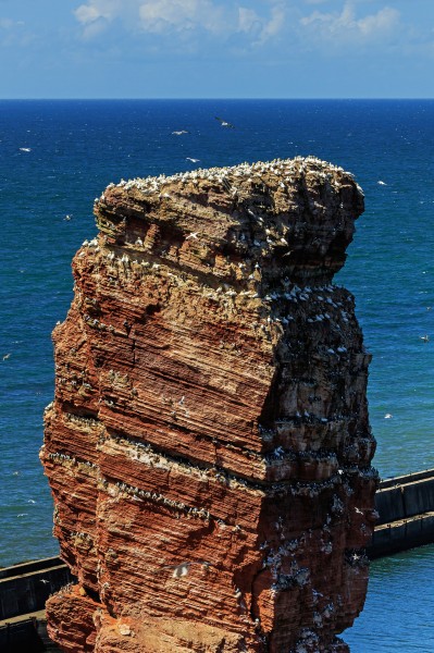 Heligoland 07-2016 photo11