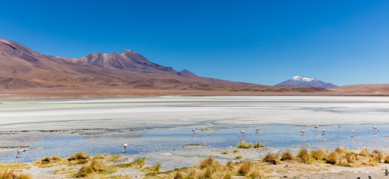 Laguna Hedionda, Bolivia, 2016-02-03, DD 56