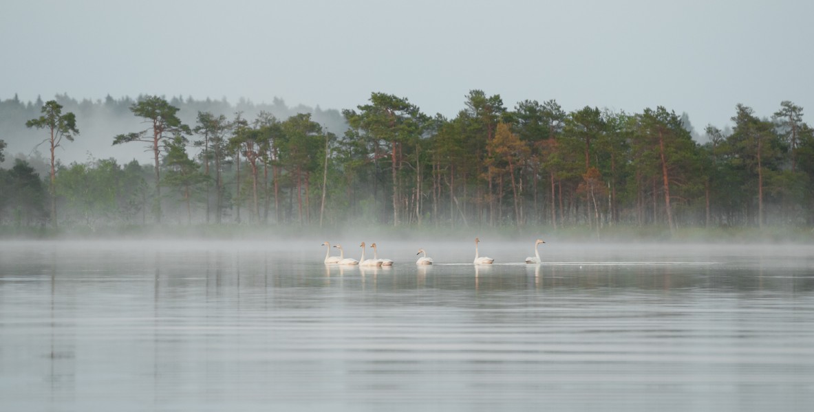 Laululuiged Kakerdi järvel
