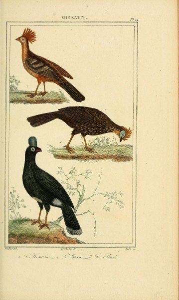Oeuvres completes de Buffon (Pl. 26) (7845703164)