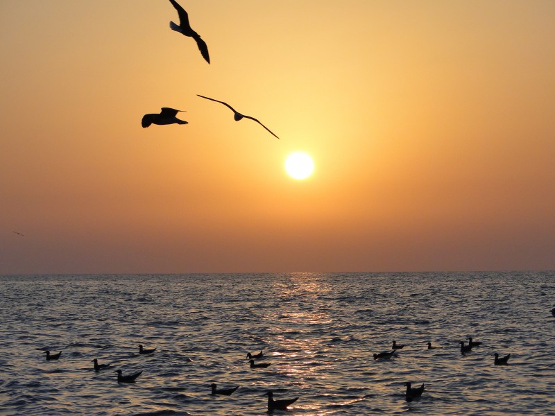 Sunset (5198999906)