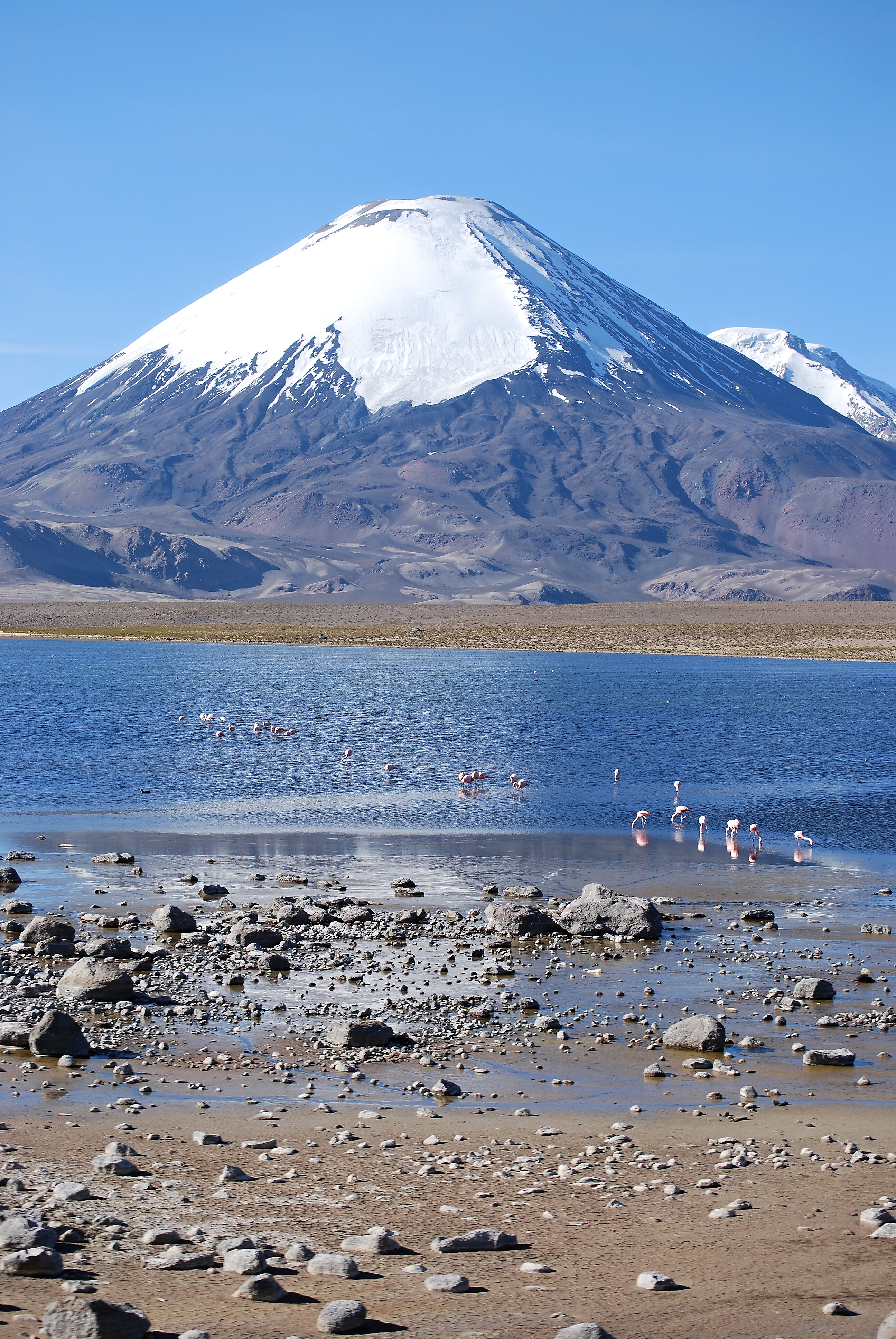 Sopka Parinacota - panoramio