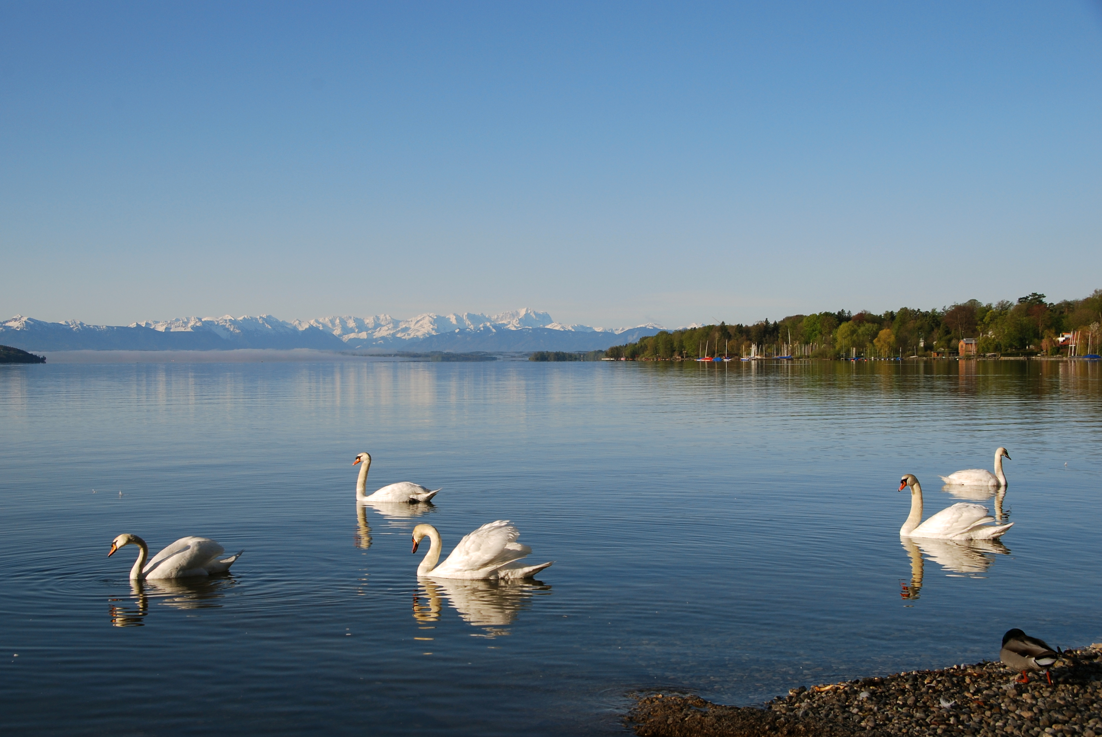 Starnberg, HB-03