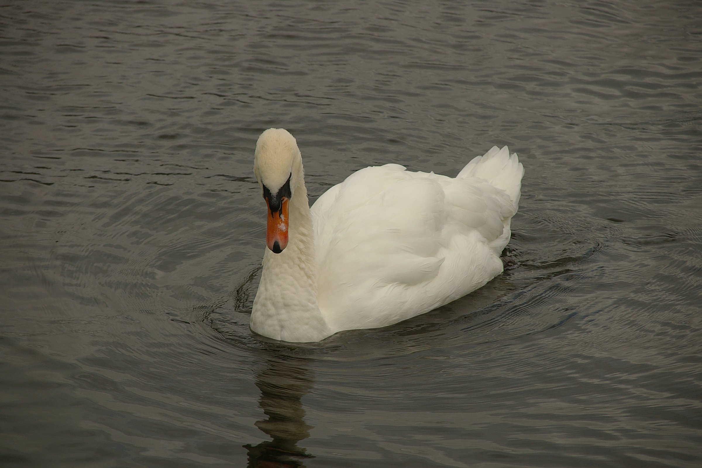 Tal-y-llyn MMB 03