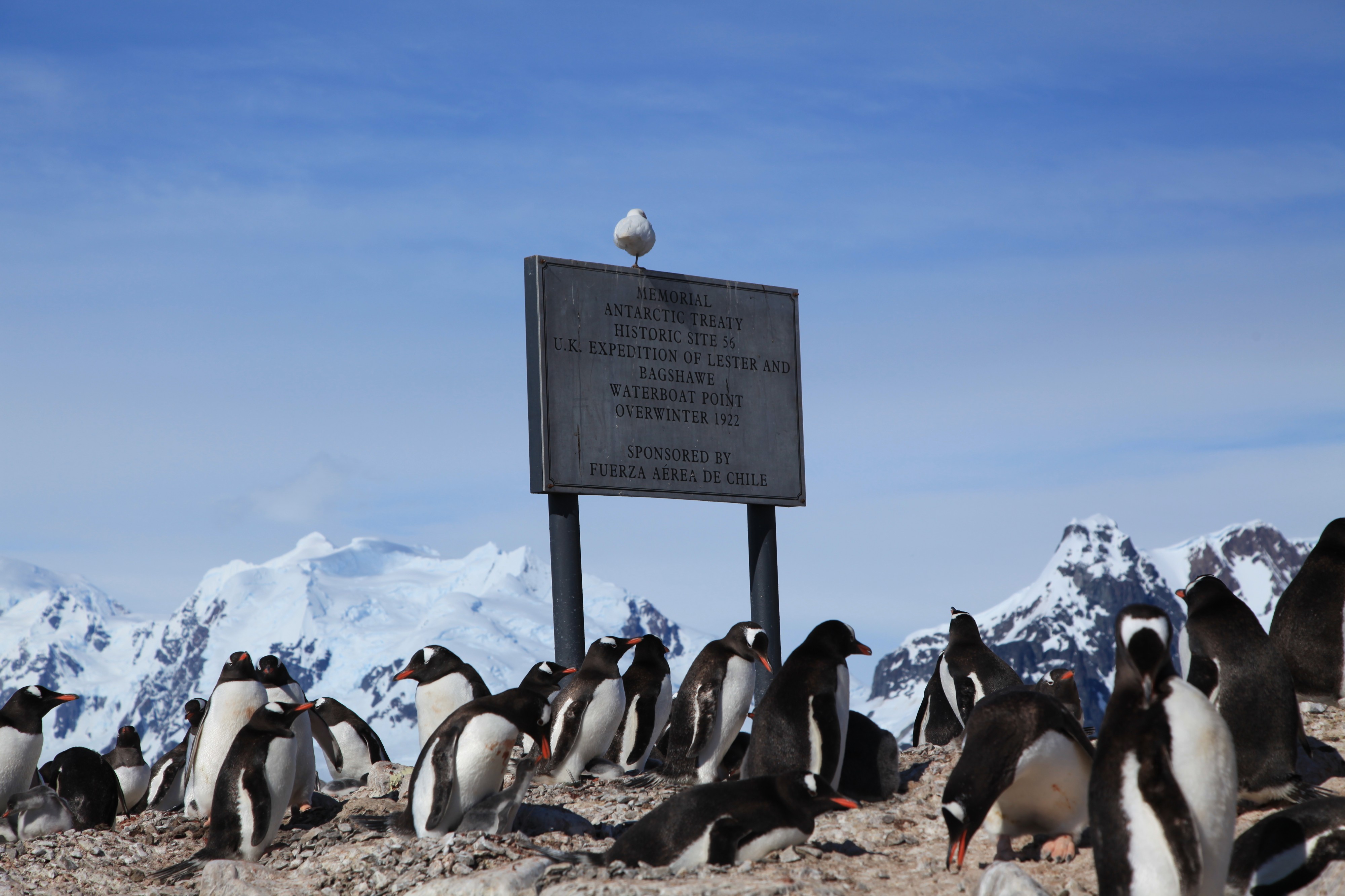 Waterboat Point, Antarctica (6122949970)