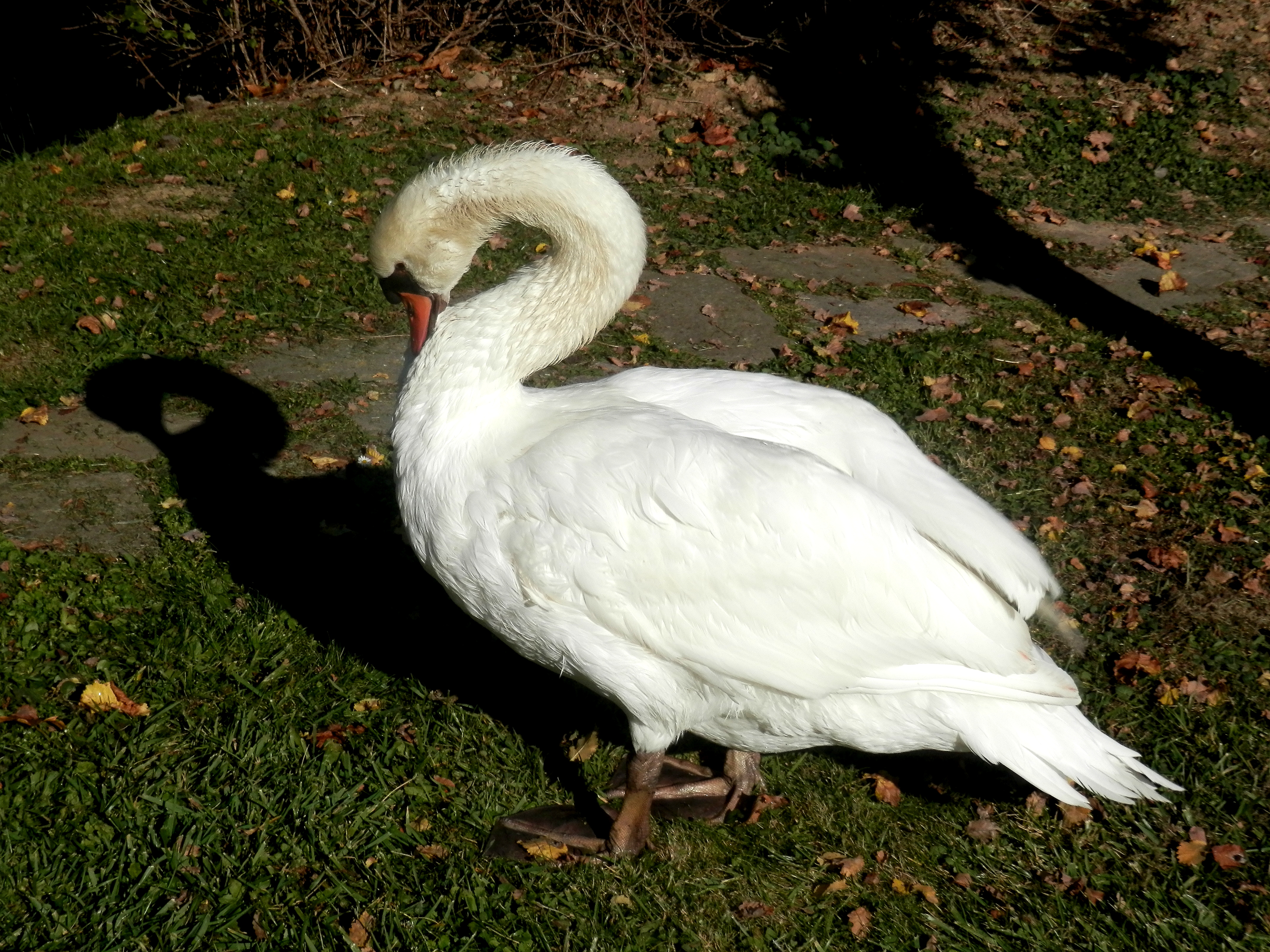 ZOOpark Fričovce 18 Slovakia3