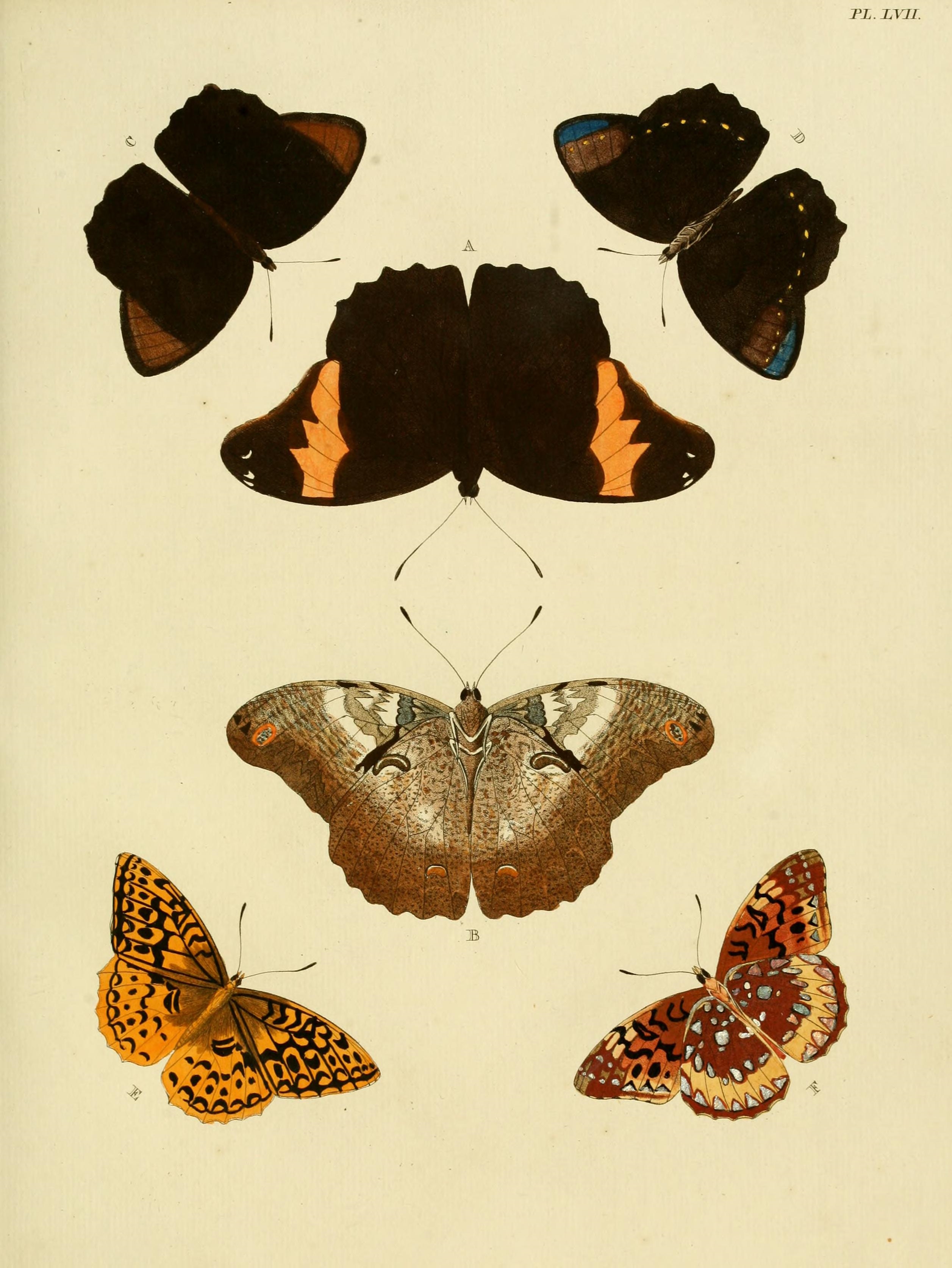 Cramer&Stoll-uitlandsche kapellen vol. 1- plate 057