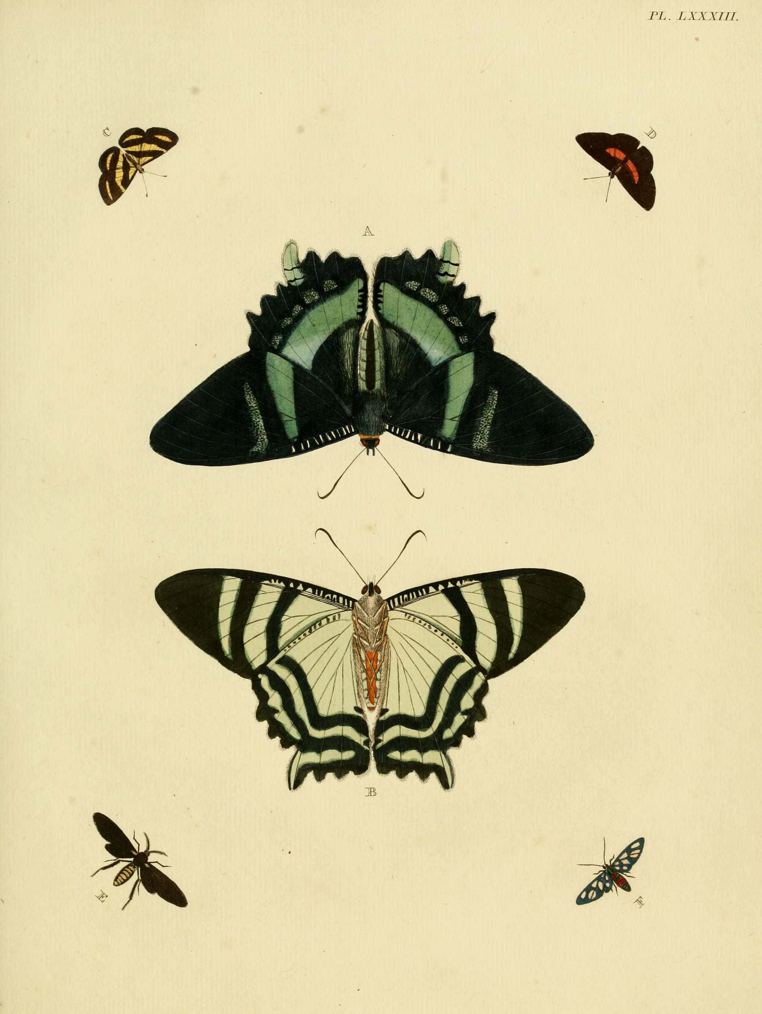 Cramer&Stoll-uitlandsche kapellen vol. 1- plate 083