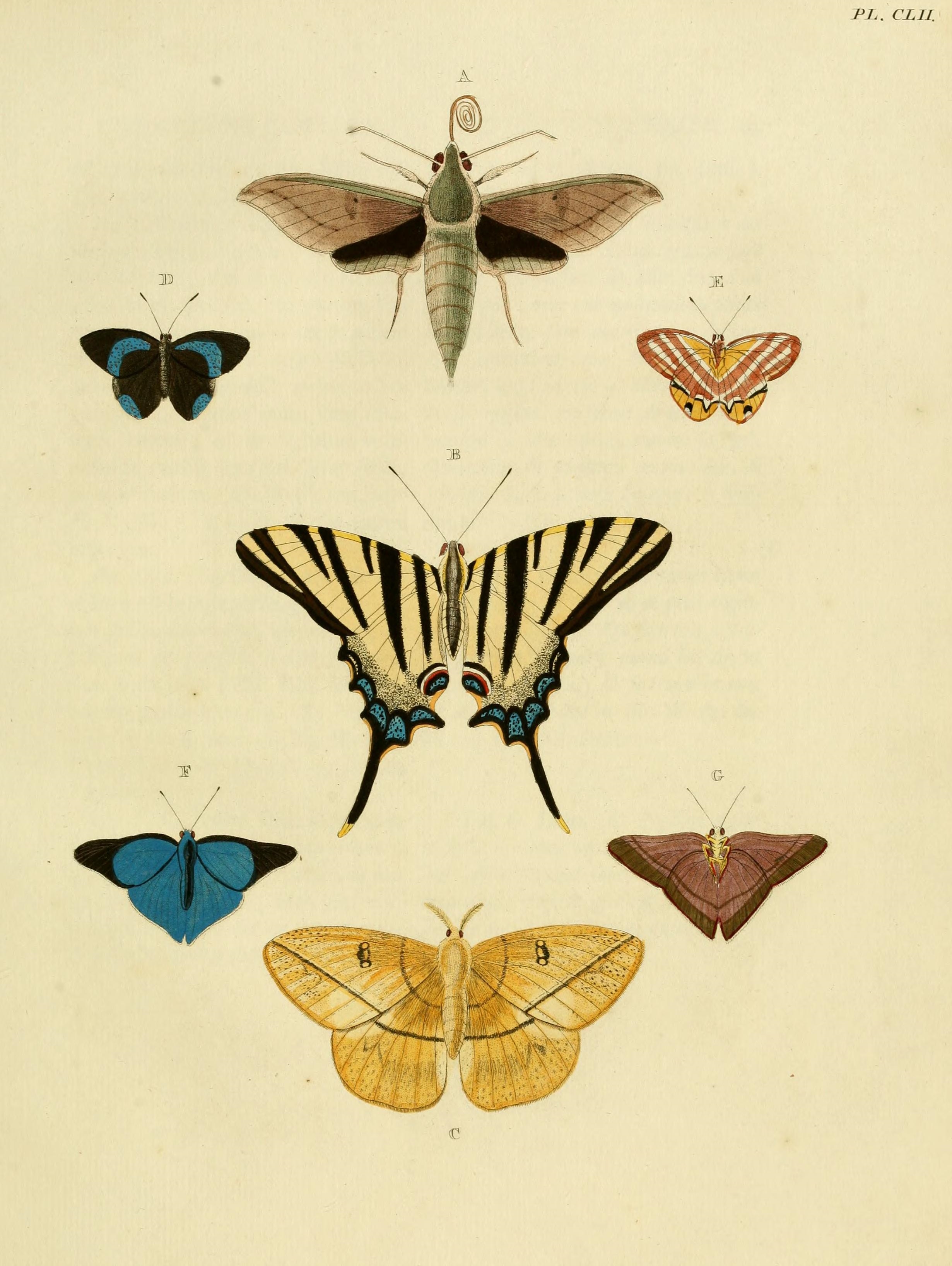 CramerAndStoll-uitlandsche kapellen vol. 2- plate 152