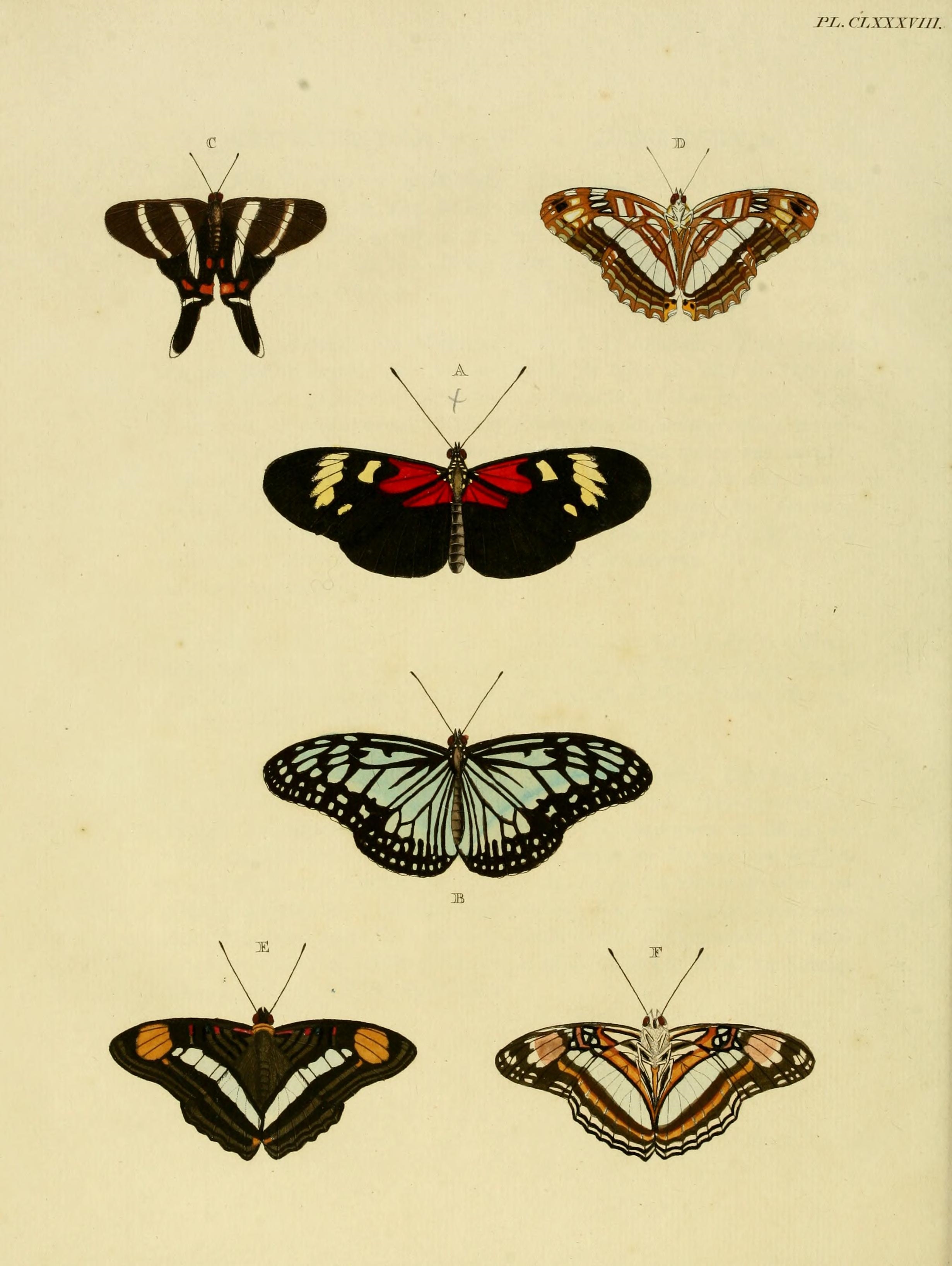 CramerAndStoll-uitlandsche kapellen vol. 2- plate 188