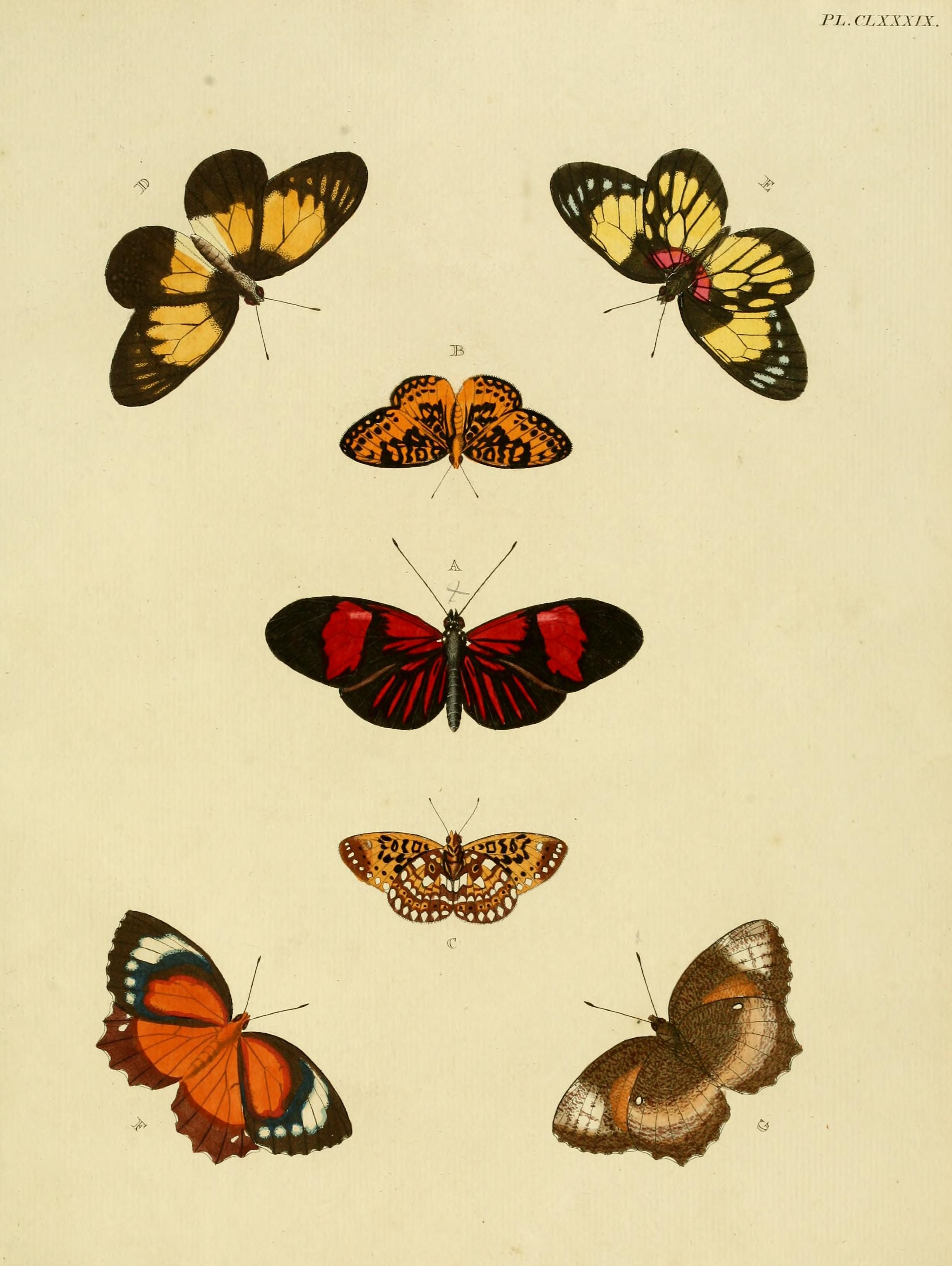 CramerAndStoll-uitlandsche kapellen vol. 2- plate 189